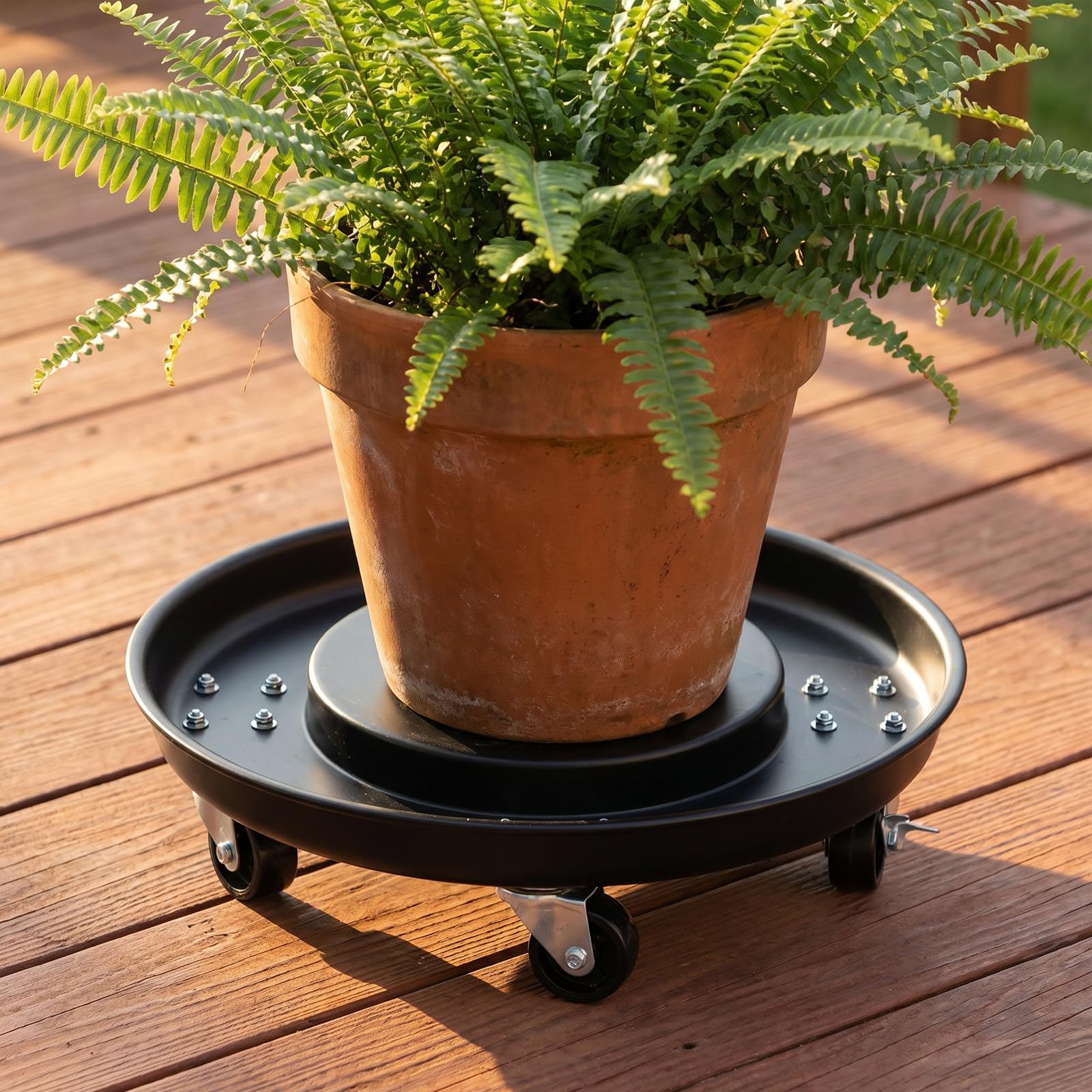 Toddmomy Chariot à Plantes à roulettes : Chariot à Plantes Roulant en Acier Inoxydable - pour Pots de Fleurs de 33 cm avec Roulette Frein pour l'intérieur et l'extérieur