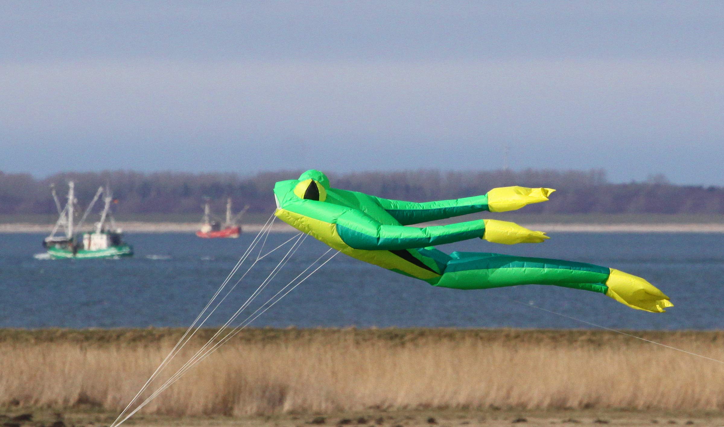 Chmura Fritz Frog XL Green