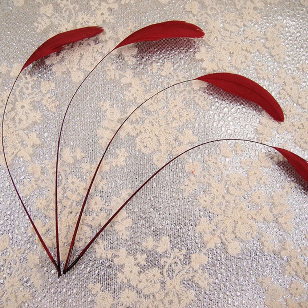 69 Colours Choices 5/7" Loose Stripped Coque Feathers for Millinery Hats Trimming Fascinators Craft Decorating Dancing Costume Making (Cranberry #23, 10pcs)
