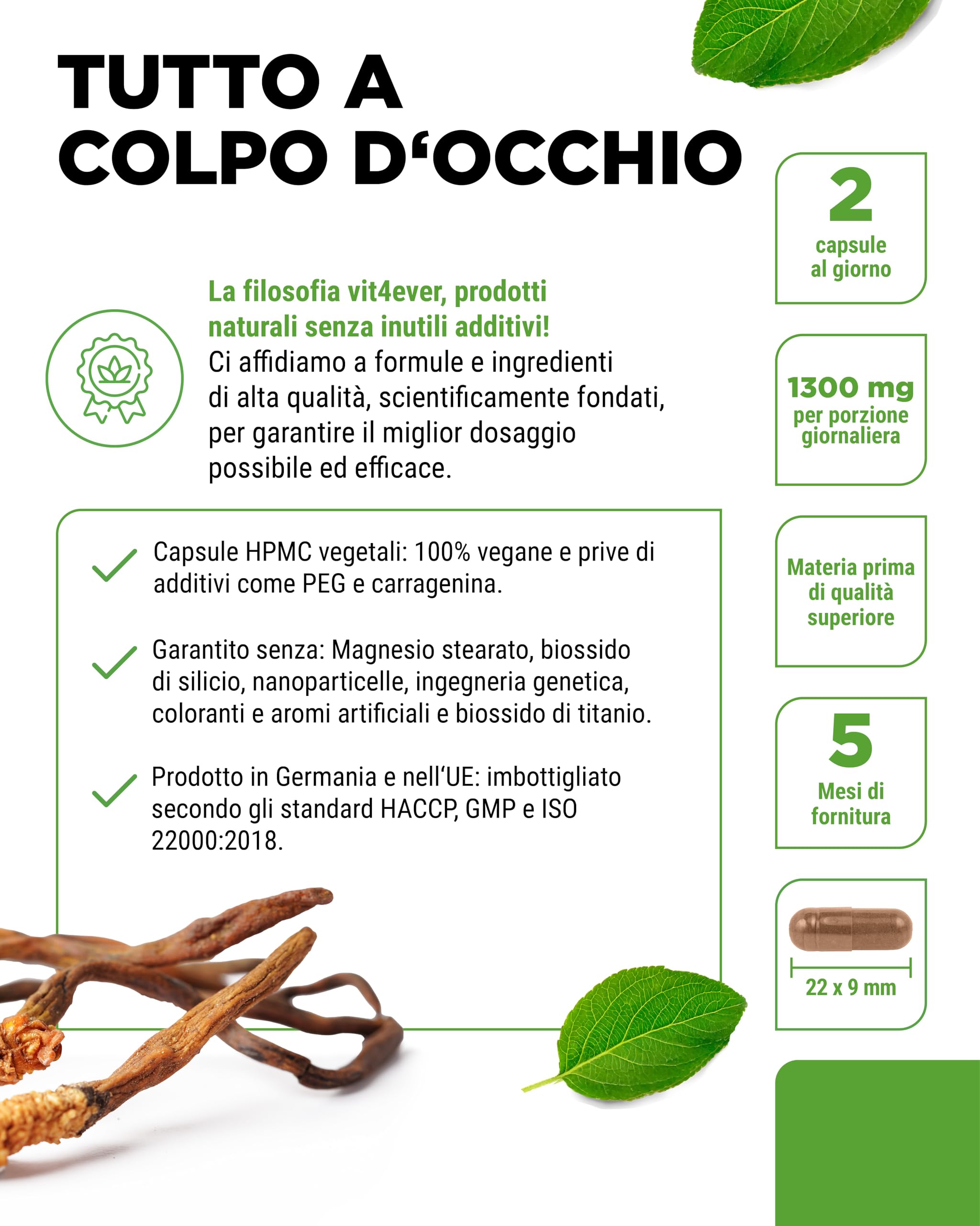 Fungo Cordyceps - 300 capsule con 650 mg di vero estratto CS-4-40% di polisaccaridi bioattivi - dose elevata - fungo bruco - vegano