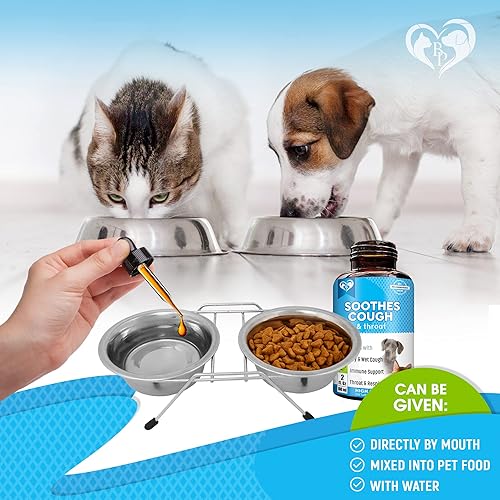 Miniatura 4 de Tratamiento para la tos de perrera y medicina natural para infecciones para perros y gatos - Alivio respiratorio y para la tos fría - Colapso de la