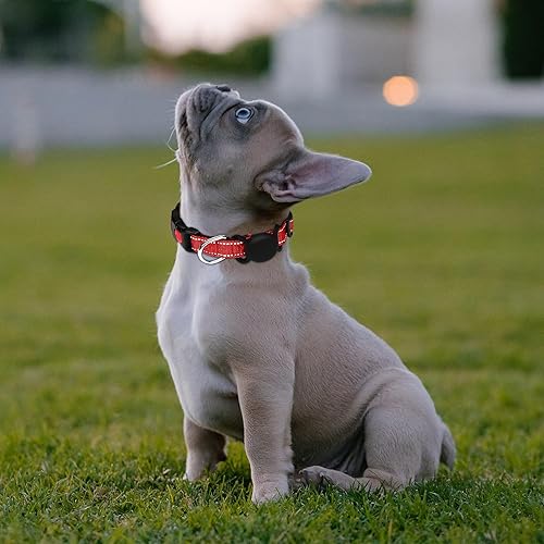 Miniatura 2 de Airtag - Collares para perros medianos, hembras y niños, acolchado de nailon suave reflectante morado para cachorros de raza pequeña y grande,