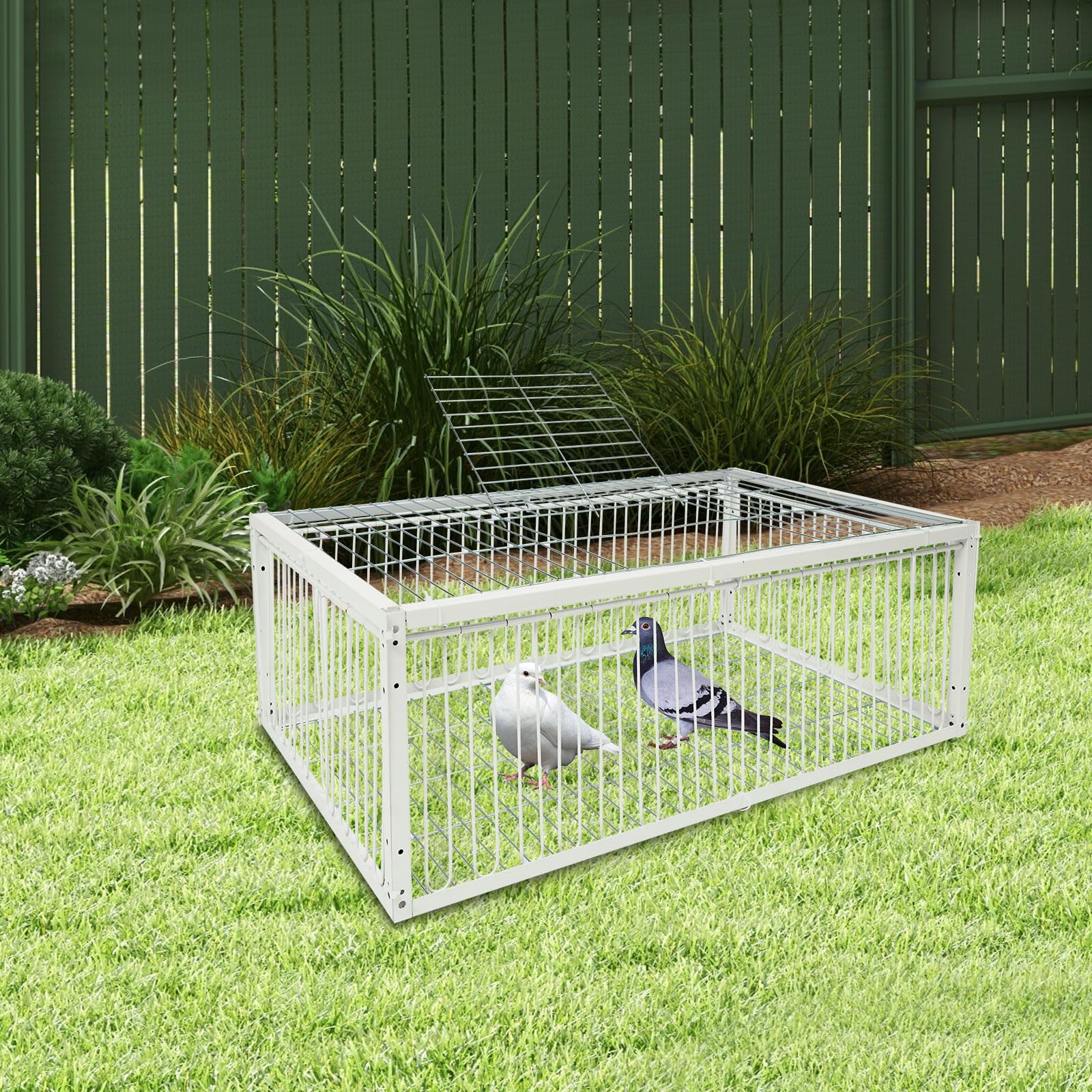 Jaula de palomas portátil resistente al escape para jardín | Diseño humano, captura sin lesiones, Techo corredizo para fácil extracción de pájaros, para techos, jardines y patios
