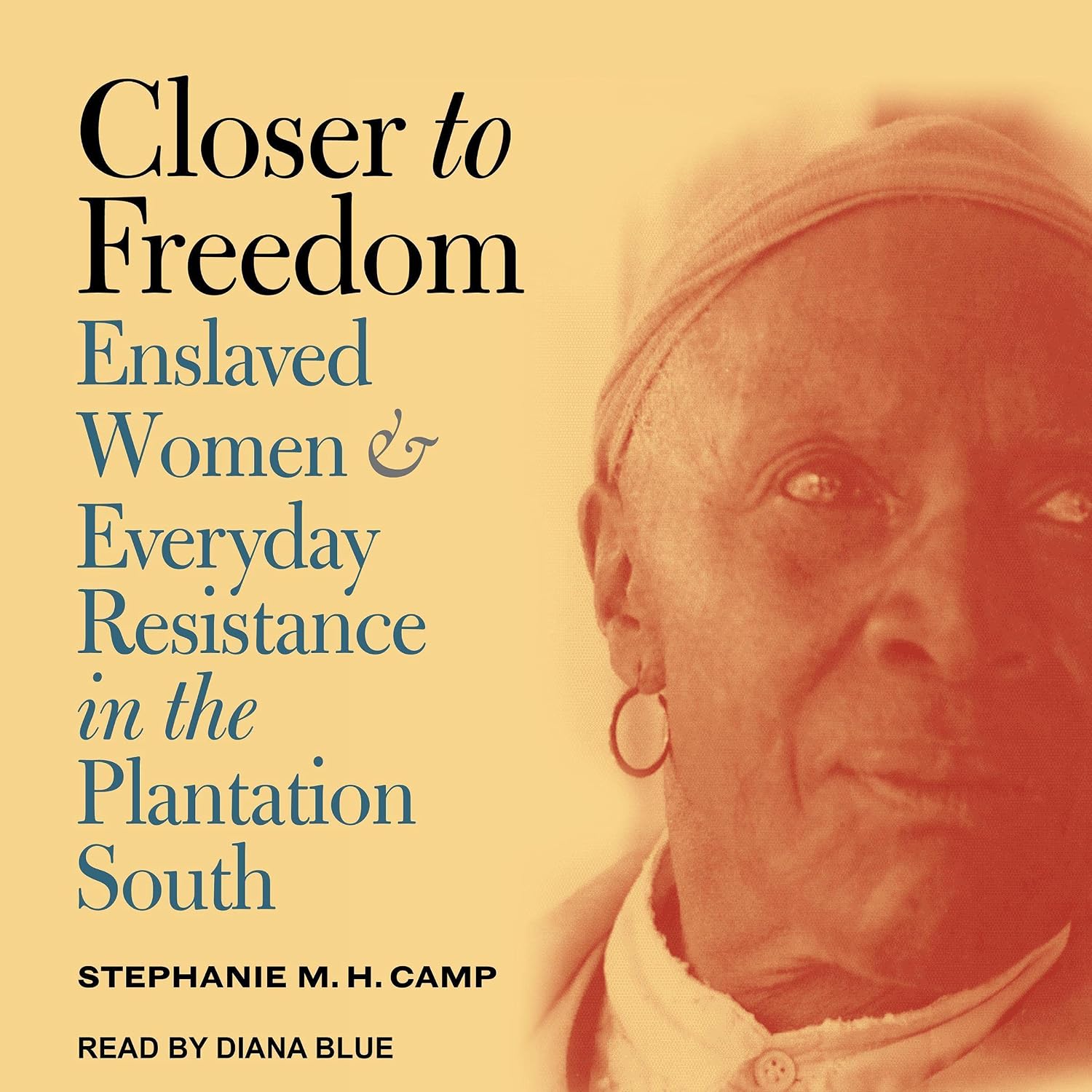 Closer to Freedom: Enslaved Women and Everyday Resistance in the Plantation South