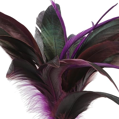Ashland Paquete de 16: púa de plumas moradas