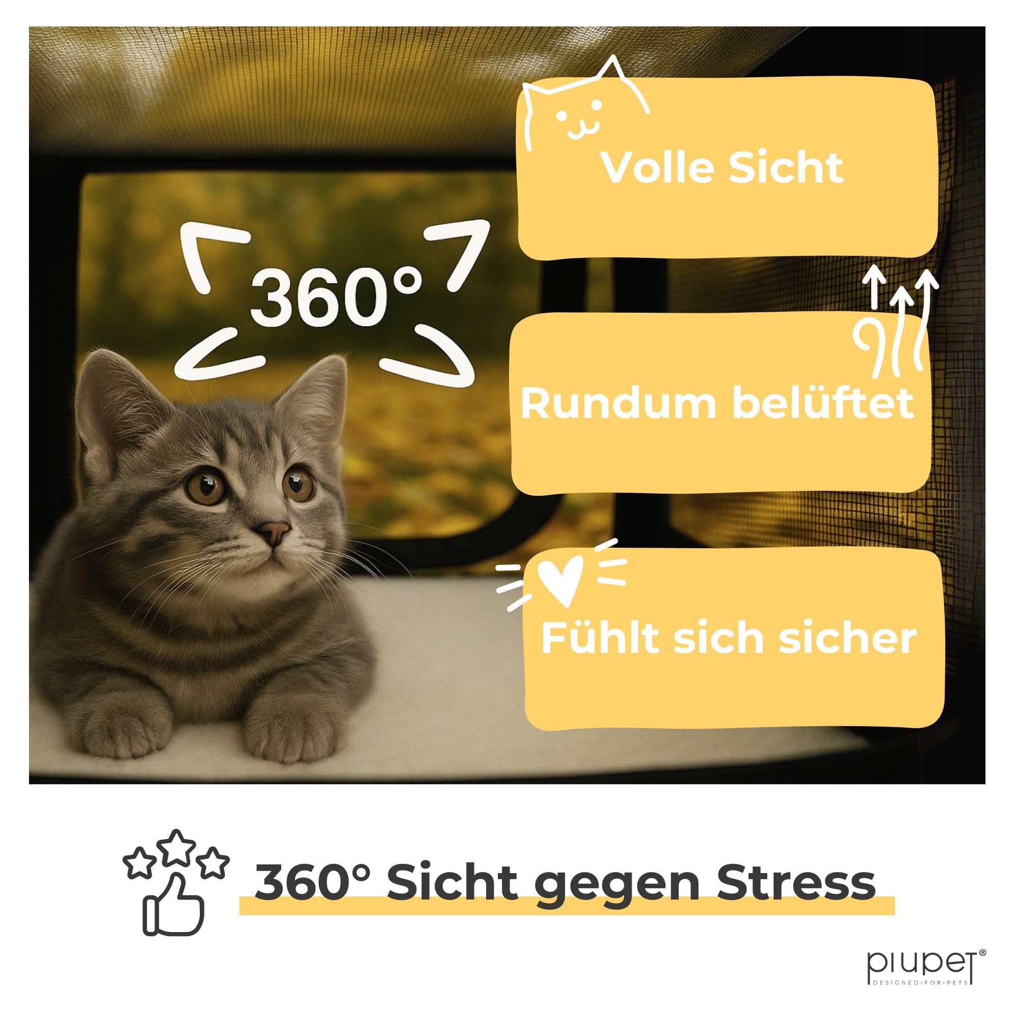 PiuPet® Katzentransportbox I Ideal für Katzen I Stabile Transporttasche mit großem Blickfeld I Transportbox Katze Groß - Stilvolle Katzenbox mit herausnehmbarer Fleecematte