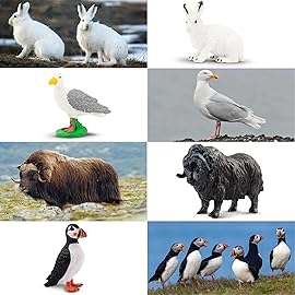 Toymany 14PCS Mini Arctic Animals Figurines Set, Polar Animals Toys with Polar Bear, Caribou, Penguin, Walrus, Wolf Figurines Cake Toppers Birthday Easter Gifts for Preschool Kids