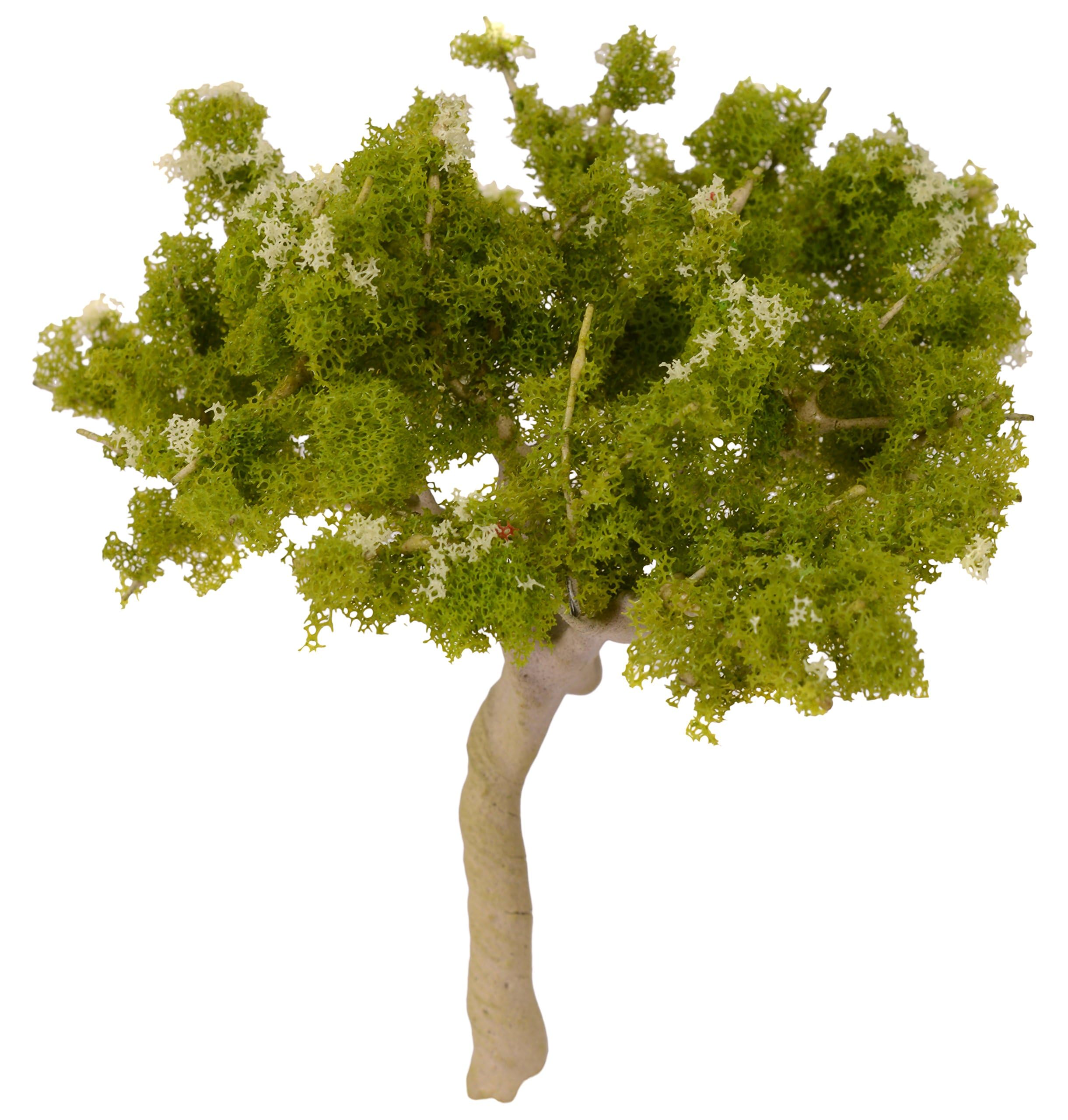 MJMODELS Architectural Miniature Tree (40 mm, Pack of 10) - Image 6 thumbnail