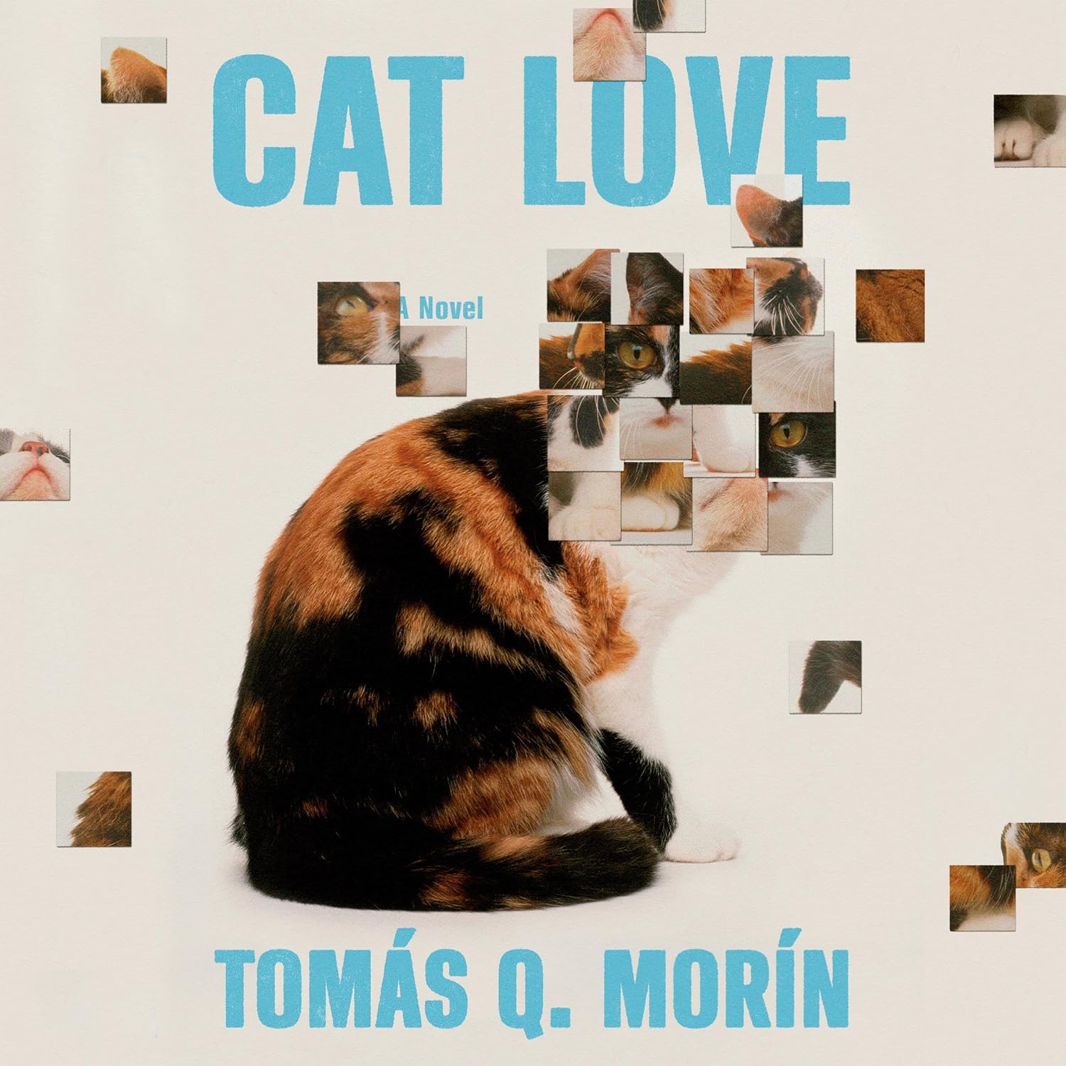 Tom&aacute;s Q. Mor&iacute;n Cat Love