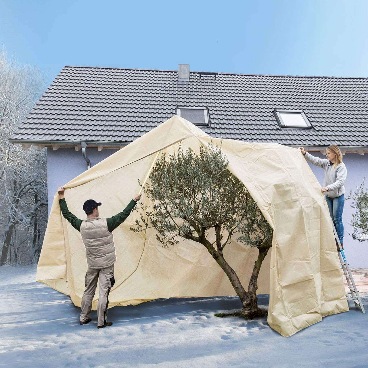 AFP Winterschutz Vlieshaube XXXL Mediterran, beige, H: 350cm, Ø 250cm, 70g/qm - Kübelpflanzensack sehr groß - Schutzhaube Pflanzen, Olive, Palmen Frostschutz / 2 Jutesäckchen gratis