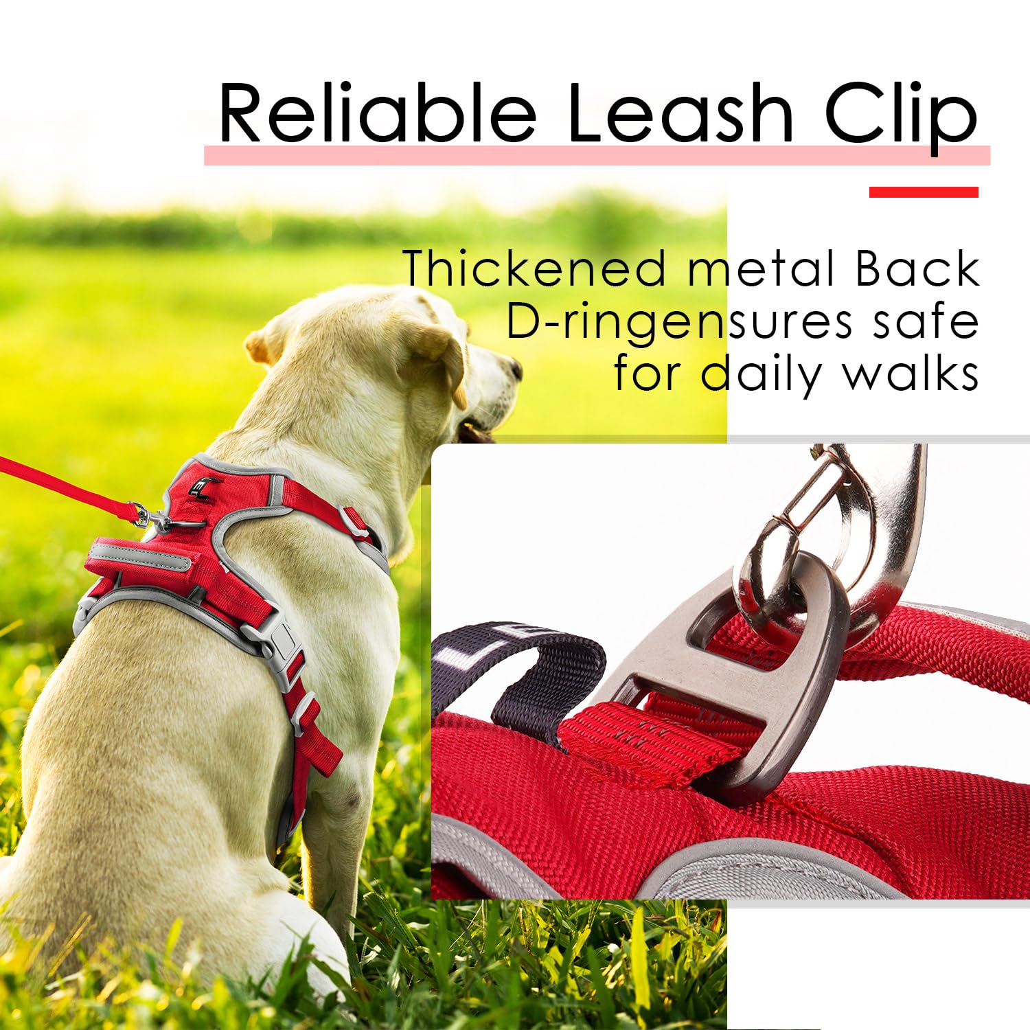ThinkPet Imbracatura sportiva traspirante senza tirare, con manico, gilet di sicurezza imbottito riflettente per cani con guinzaglio neon riflettente XL, colore: rosso