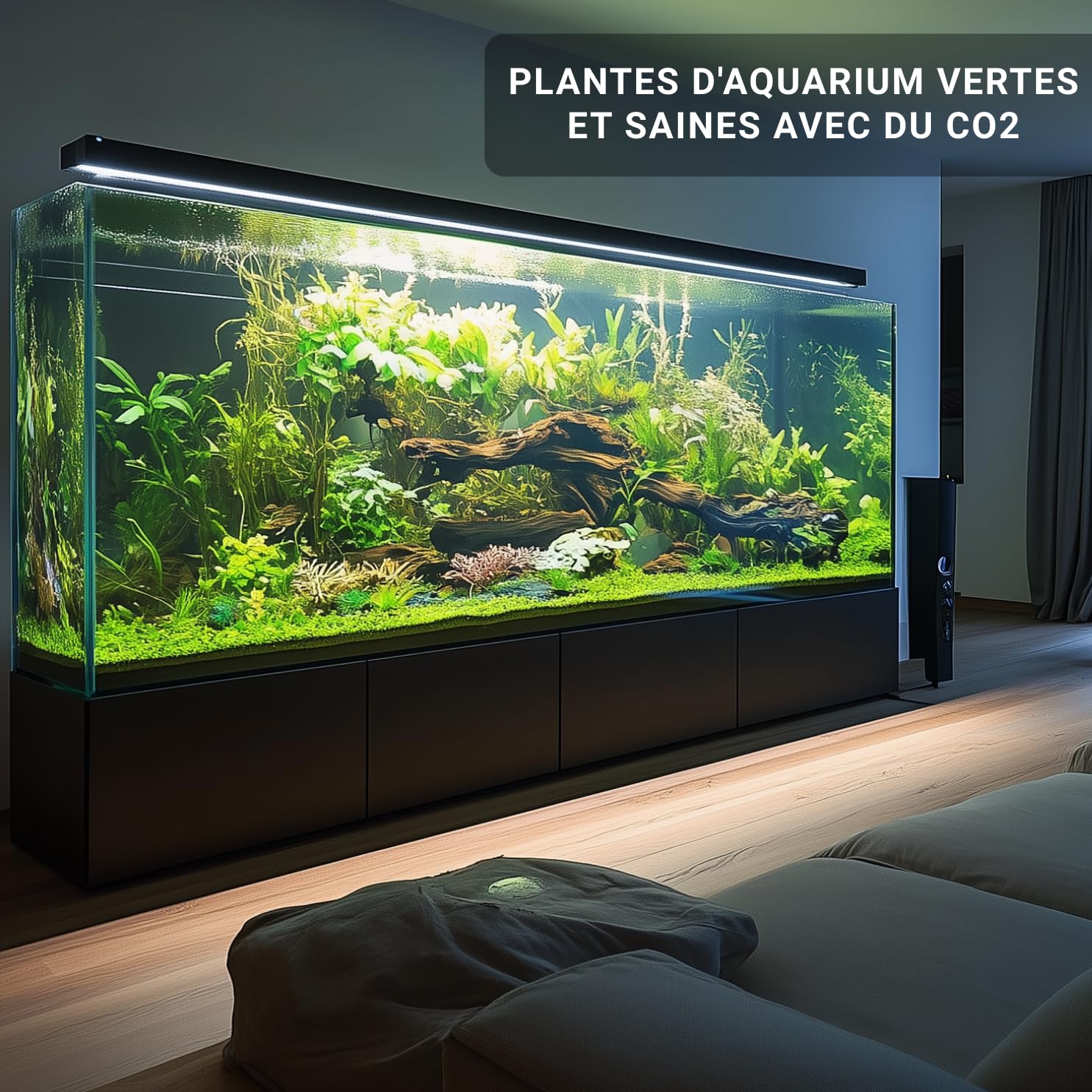 Q-Grow Kit Complet de système CO₂ pour Aquarium – Simple et Universel – INCL. diffuseur en Acier Inoxydable, Test Permanent, détendeur, Bouteille de CO₂ 425 g, Jusqu’à 1000 L