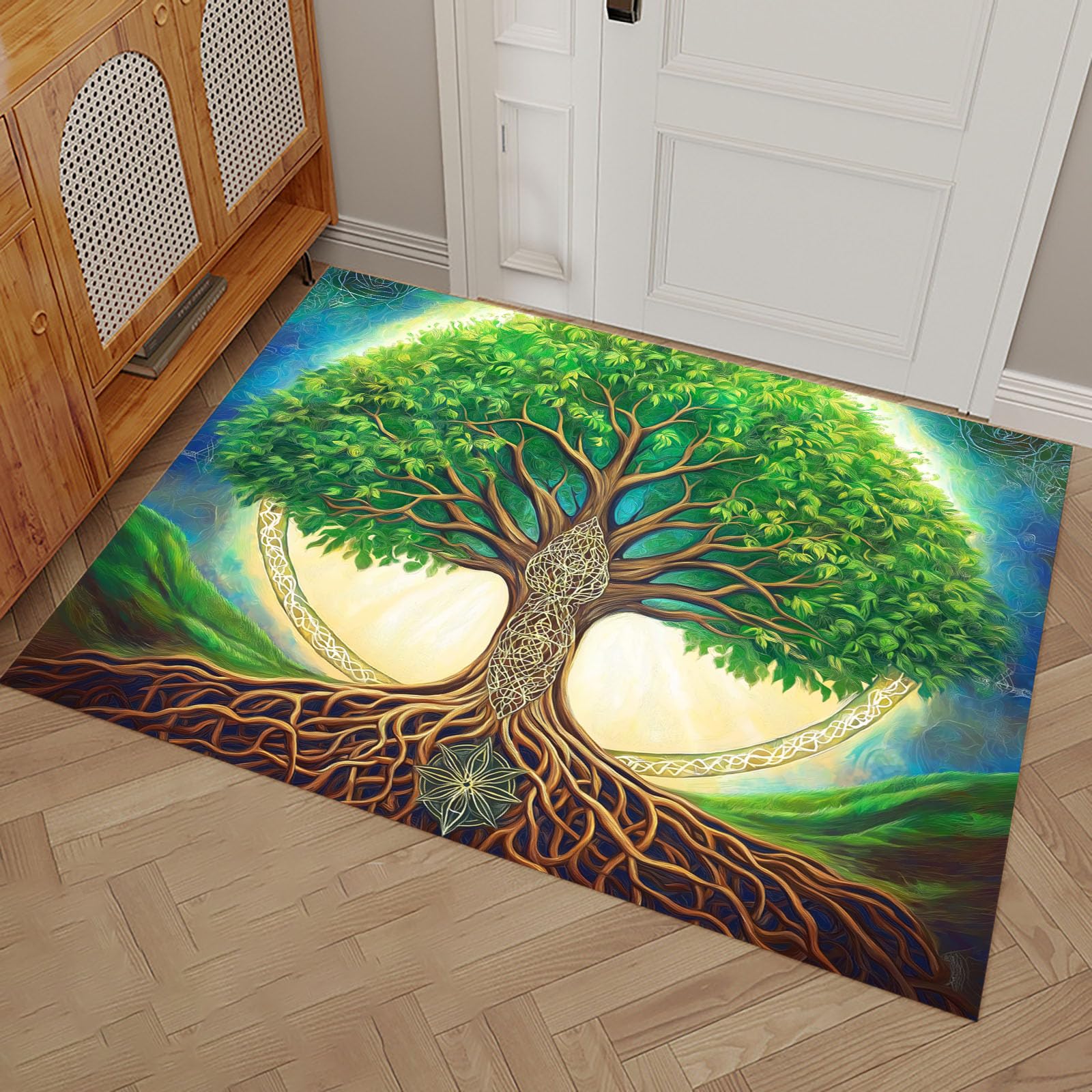 Tapis d'entrée imperméable et antidérapant 50x80cm pour la maison