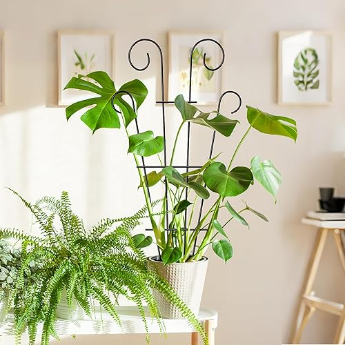 Miniatura 8 de Thealyn Paquete de 4 enrejados de plantas de interior de 23 pulgadas para plantas en maceta trepadoras, enrejado de jardín de metal al aire libre,
