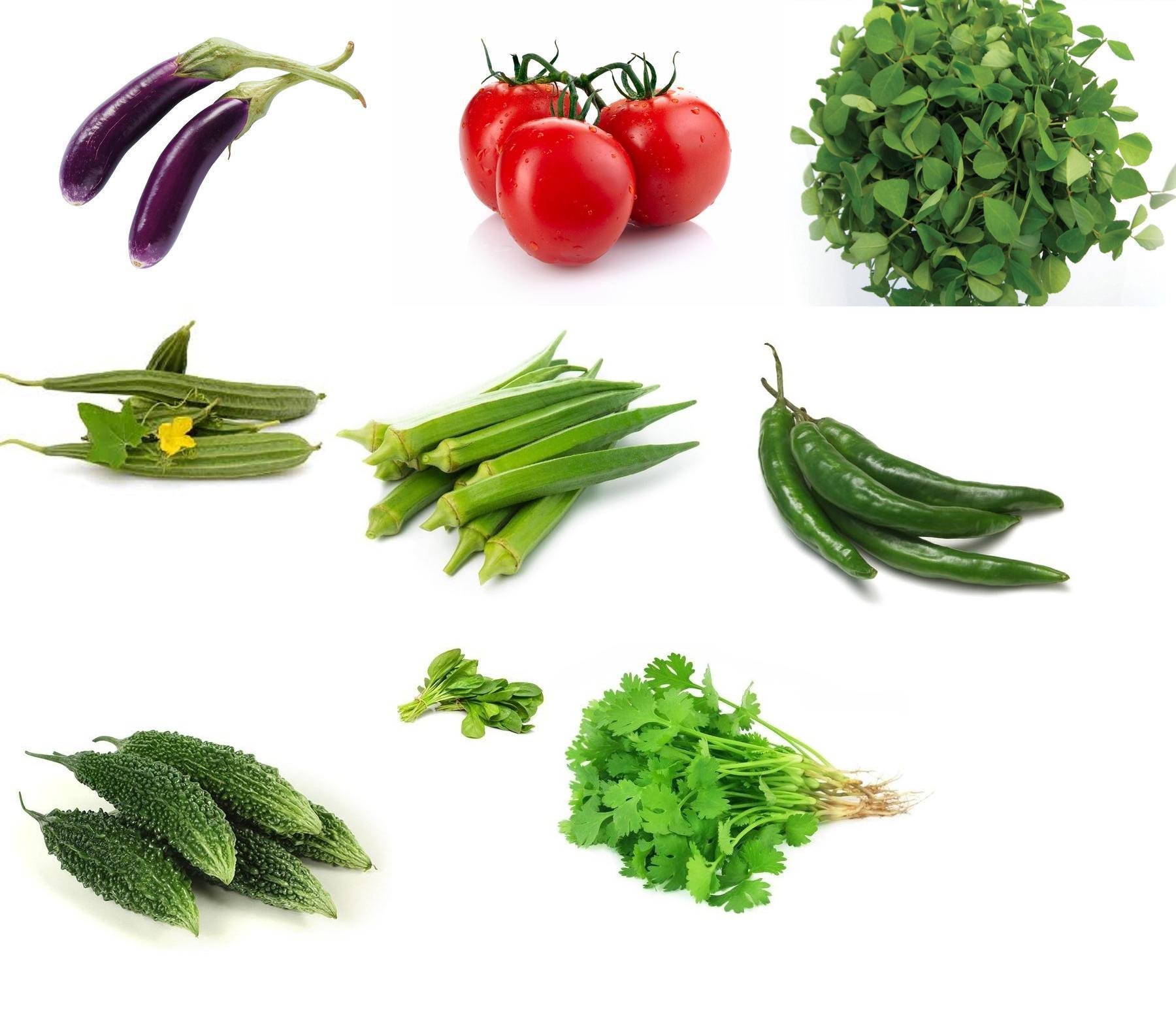 Nelesa Gardening 9 Vegetable Combo Seed Pack of 270 Seeds For Home And Garden, Coriander, Oakra, Green chilli, Bitter Gourd(karela), spinach(palak), Ridge gourd(Turai), Tomato seeds, Brinjal long purple, Methi kasuri seeds) (B07BD36QNQ) Amazon Price History, Amazon Price Tracker