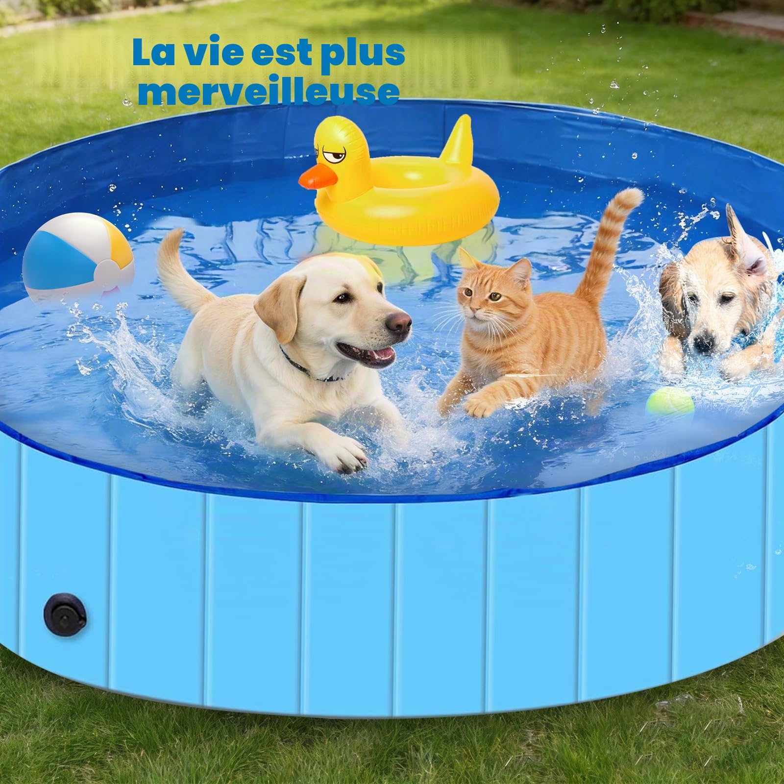 Piscine pour Chiens, 160 cm x 30 cm, Piscine Pliable Robuste et imperméable pour Petits, Moyens et Grands Chiens, Baignoire antidérapante avec Surface résistante à l'usure pour Chats