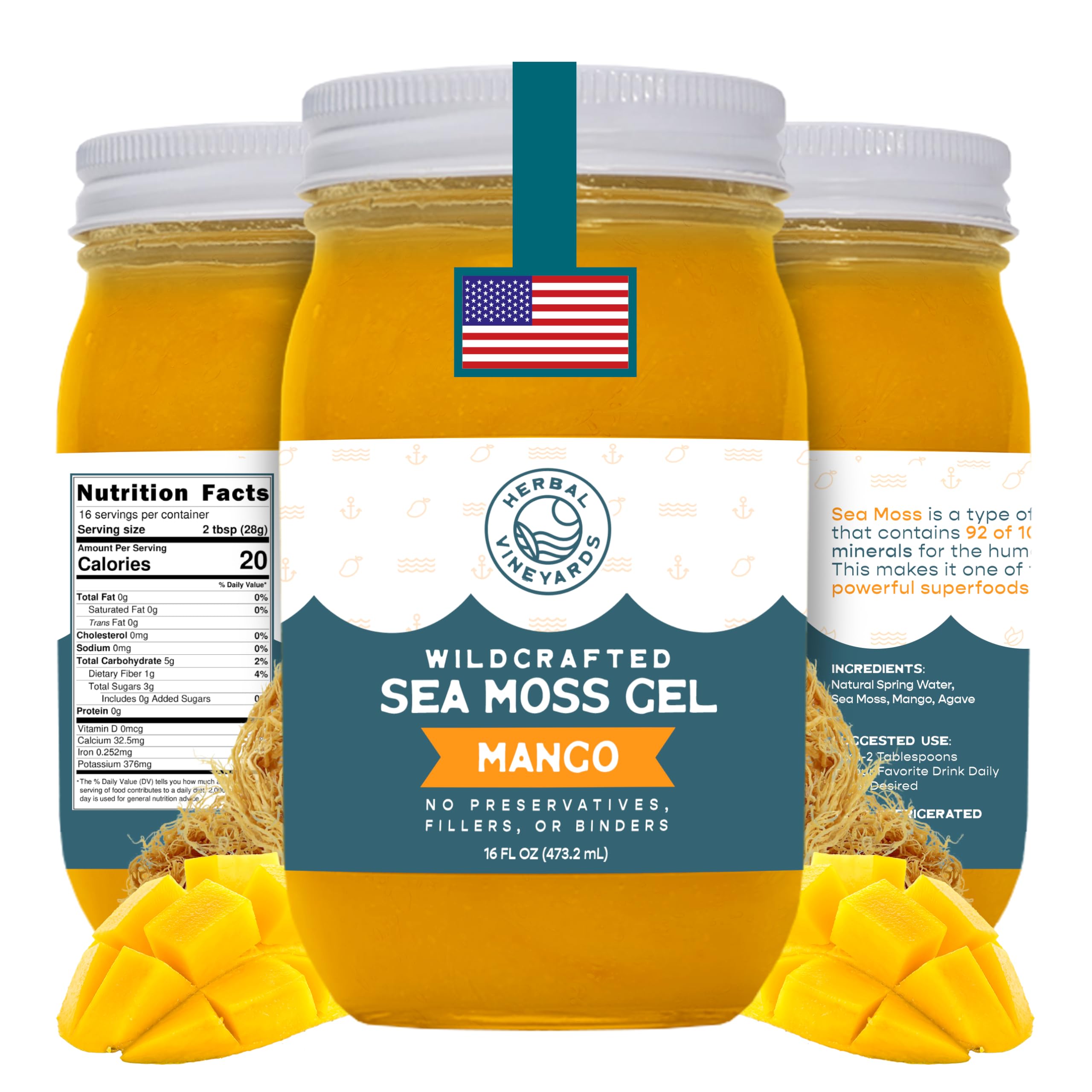 Herbal Vineyards Wildcrafted Irish Mango Sea Moss Gel 16 Oz - Organic Seamoss Gel Made with Dried Seaweed & Fresh Sea Vegetables, Natural & Plant-Based, Harvested in Pristine Waters, USA