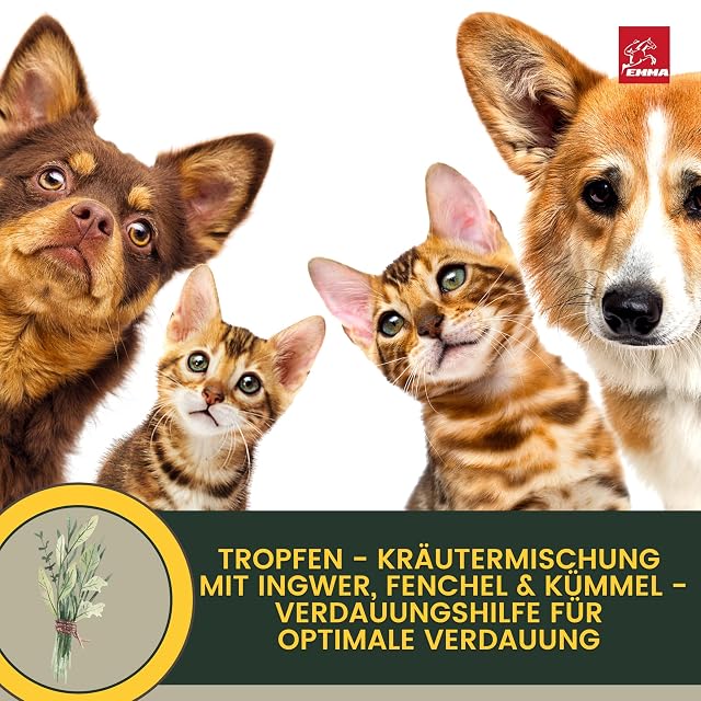 Foto 4 de 8 de Cura Intestinal Perro Gotas Activas + Alcaravea I Primeros Auxilios Digestión