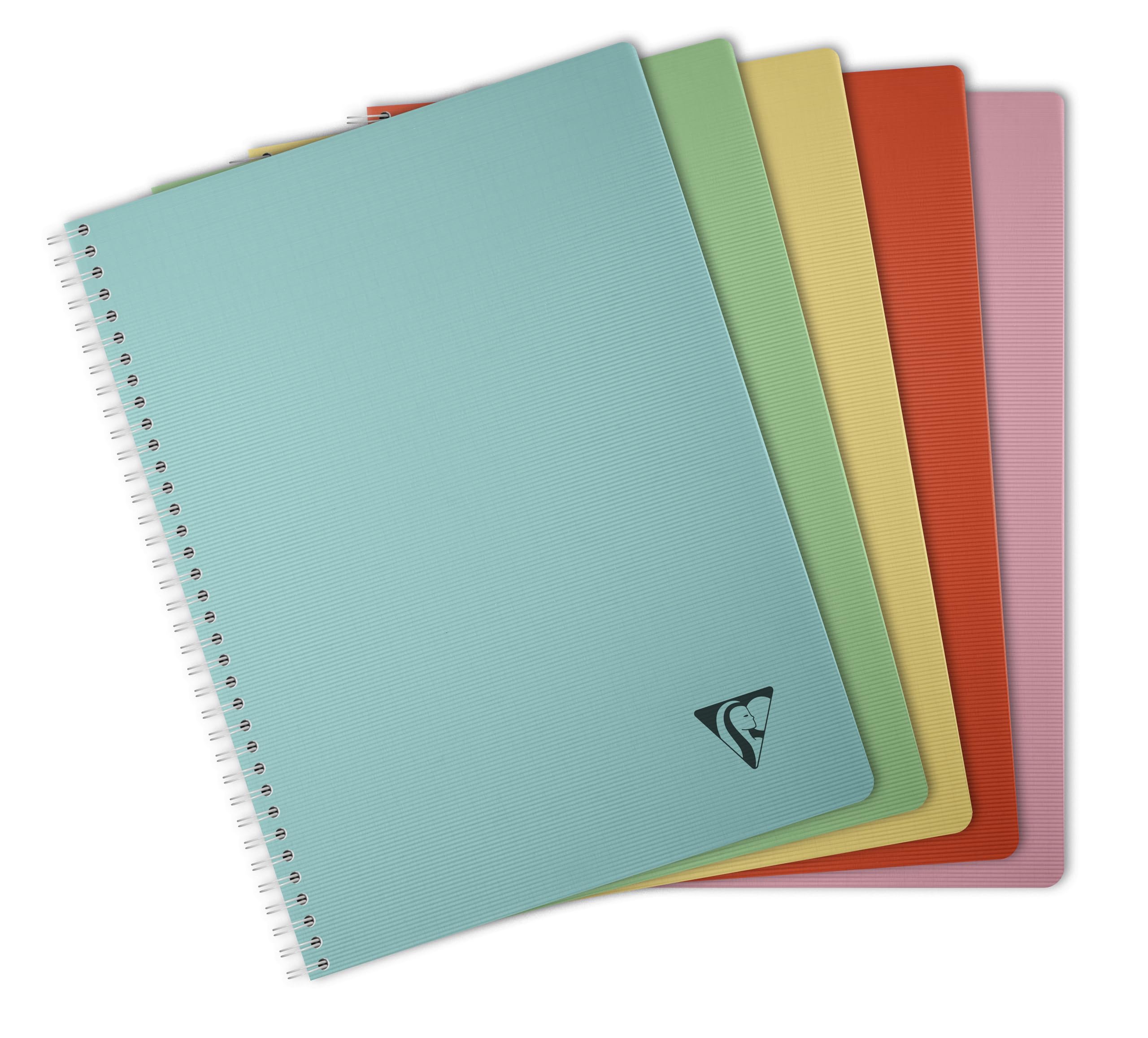 Clairefontaine 327126C LiniColour ESSENCE A Spiral Notebook A4 21x29,7 cm - 180 Small Squares Pages - White Paper 90g - Transparent Polypro Cover Random Colour