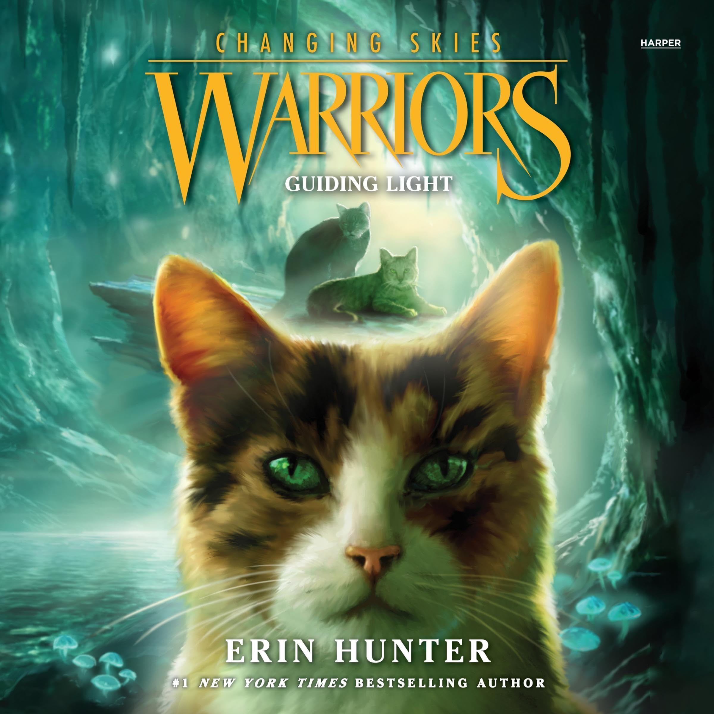 Cover art for Warriors: Changing Skies #4: Guiding Light