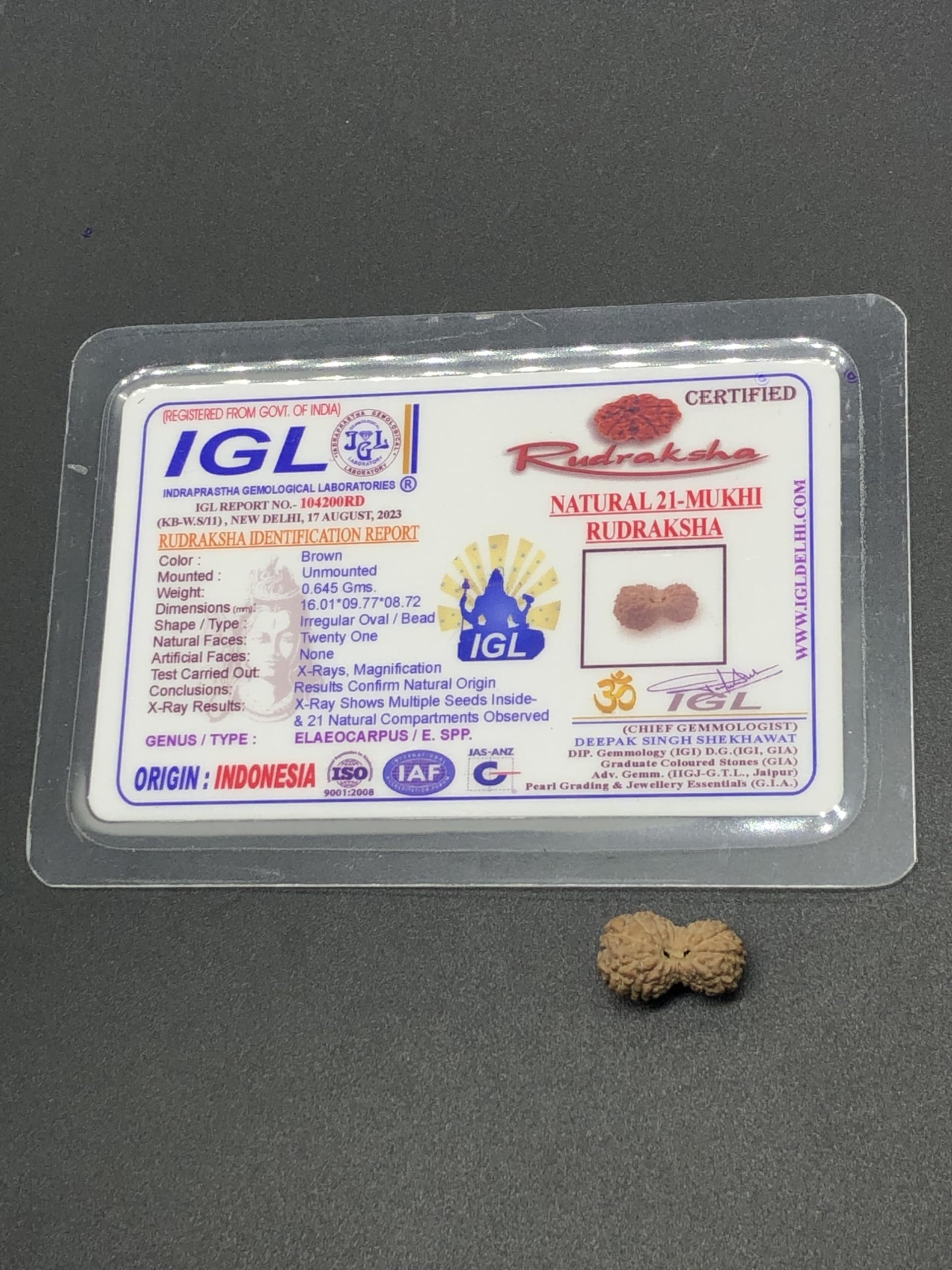 Vishaka Arts21 Natural Mukhi Rudraksha of Java (Indonesia) Tiny Size/Twenty One Face Lord Kuber Rudraksha 16mm IGL Certified Exact Bead