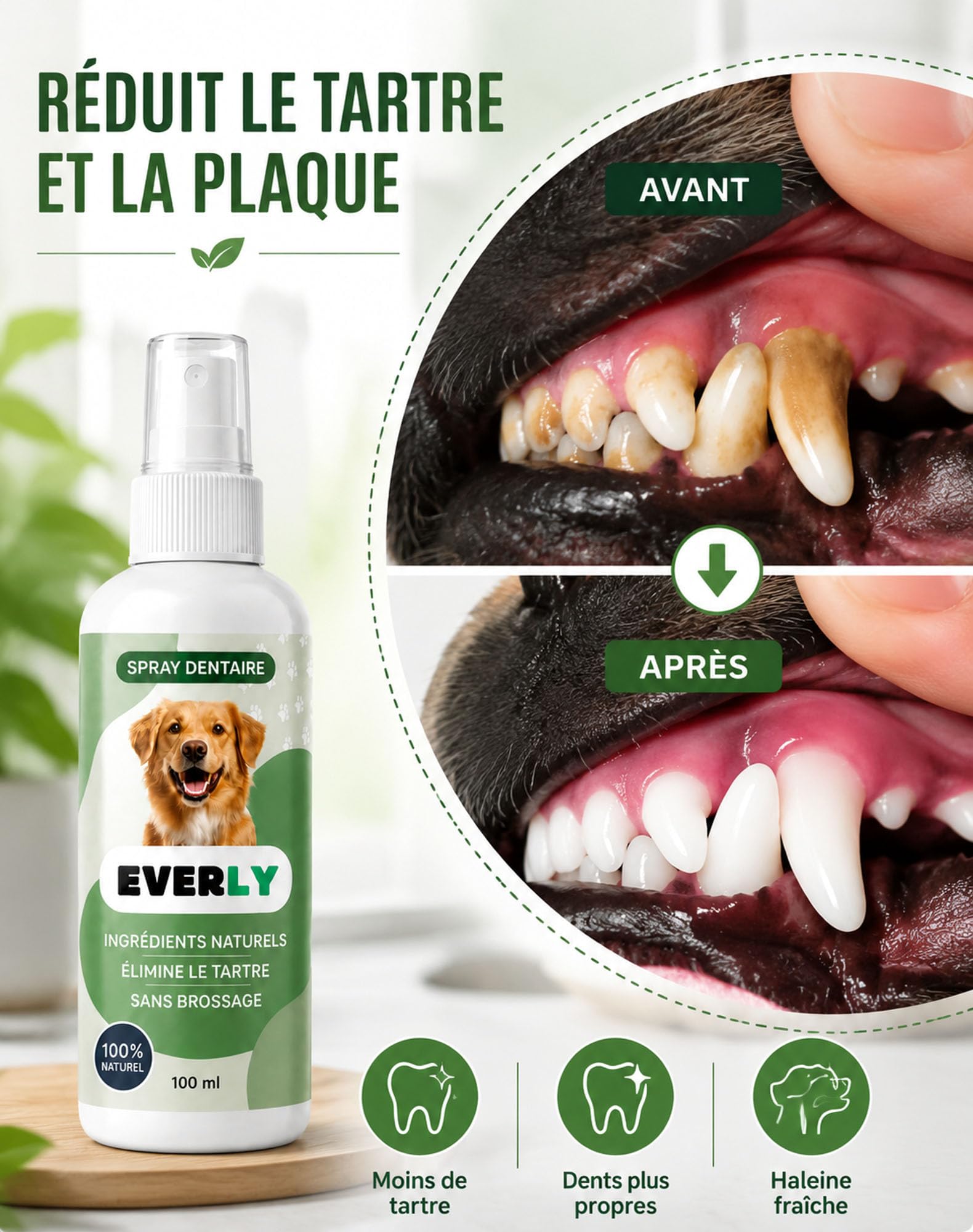 The Everly Spray Dentaire Chien, Antitartre Sans Brossage (300ML)