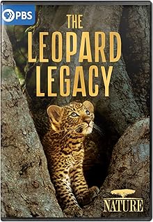 Nature: The Leopard Legacy
