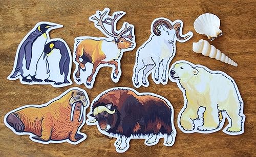 Arctic Animal Board Story Flannel Creative Play Felt Board Set Teacher Stories Preschool Imagination Biology Toys Learning Set Travel Game Gift