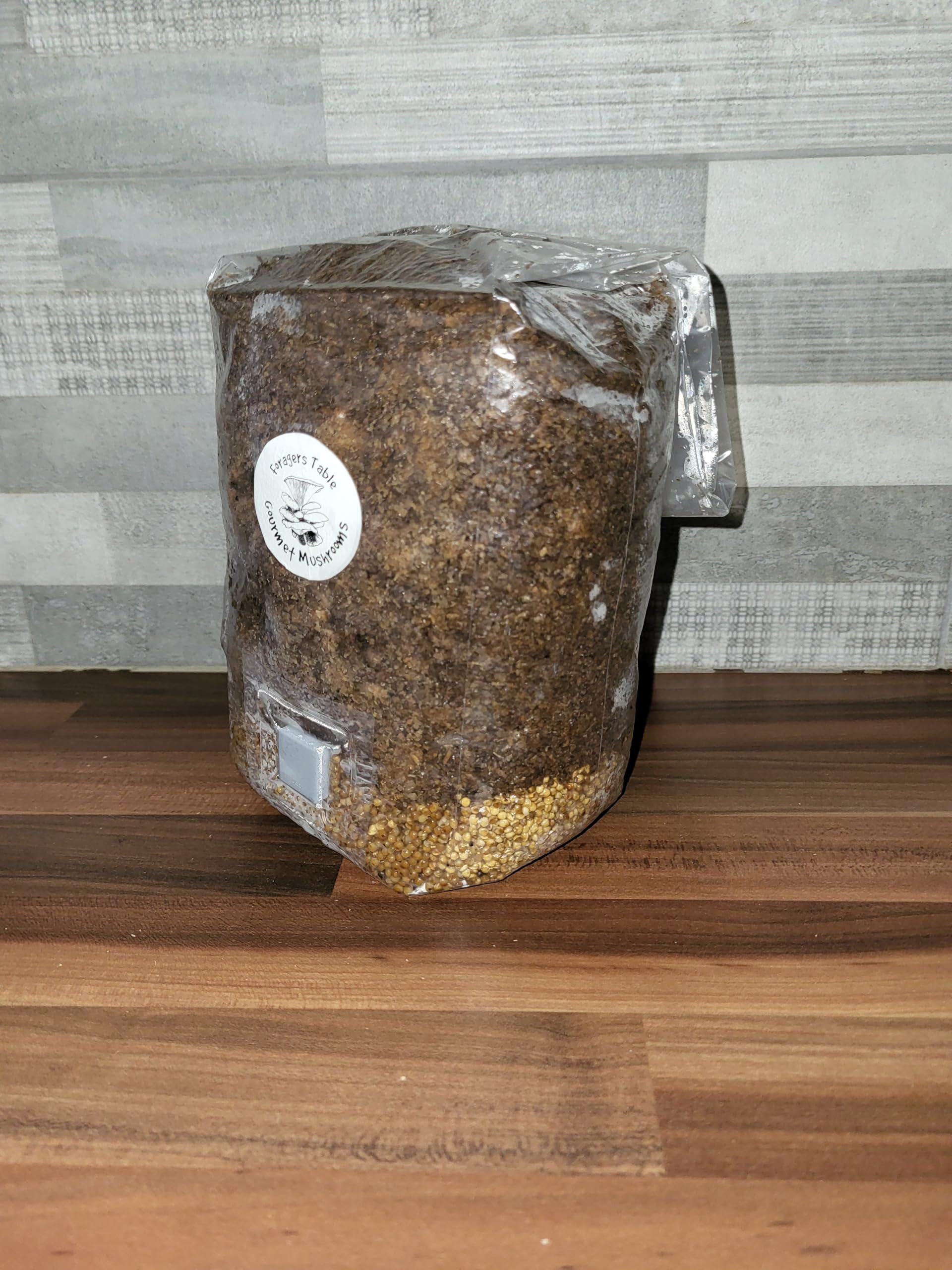 Foragers Table - All-in-One Mushroom Grow Kit Grow Bag 1KG Millet Spawn Substrate