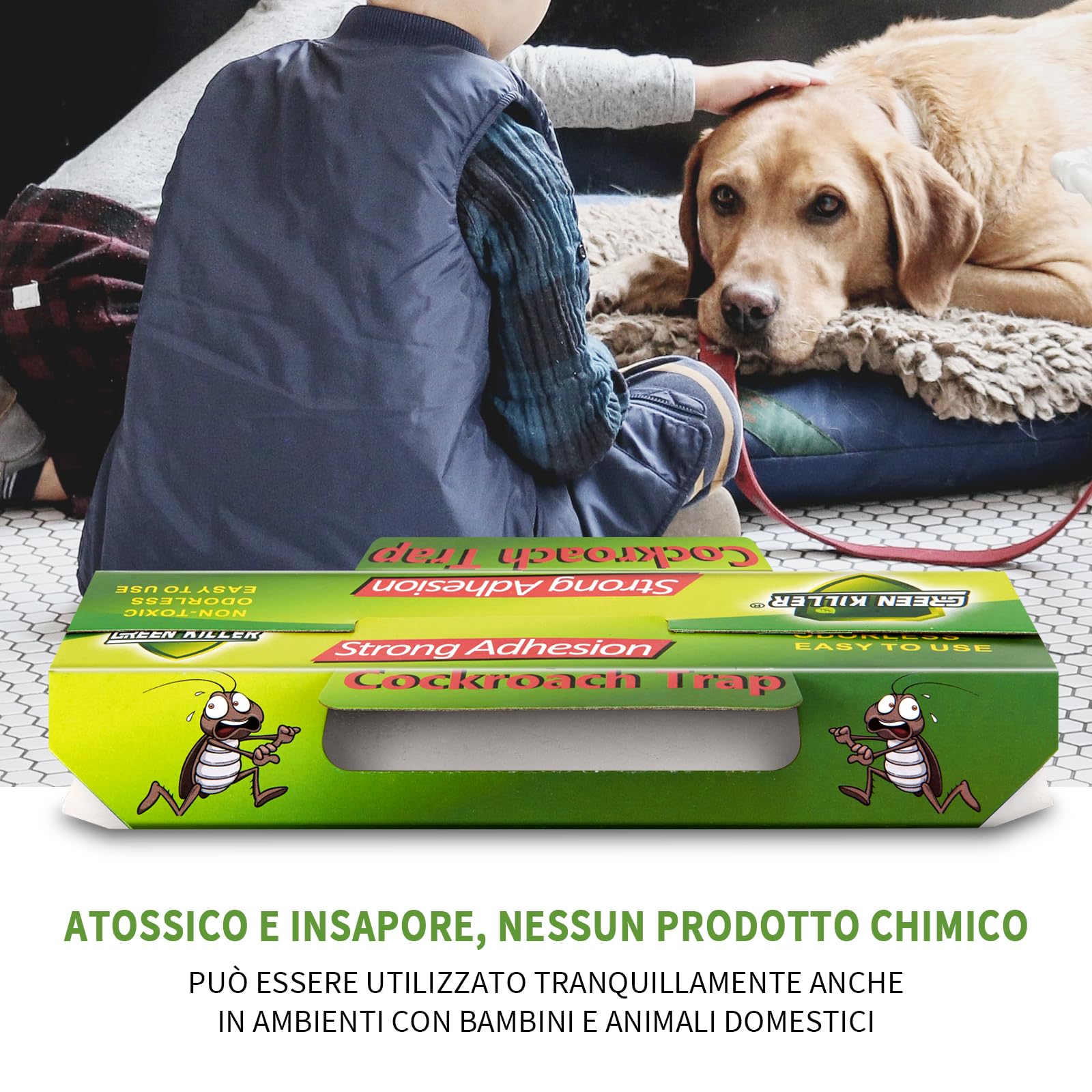 Pièges à Cafards : Comment Installer Correctement Les Pièges à Cafards Dans Une Maison Ou Un Appartement 1 1