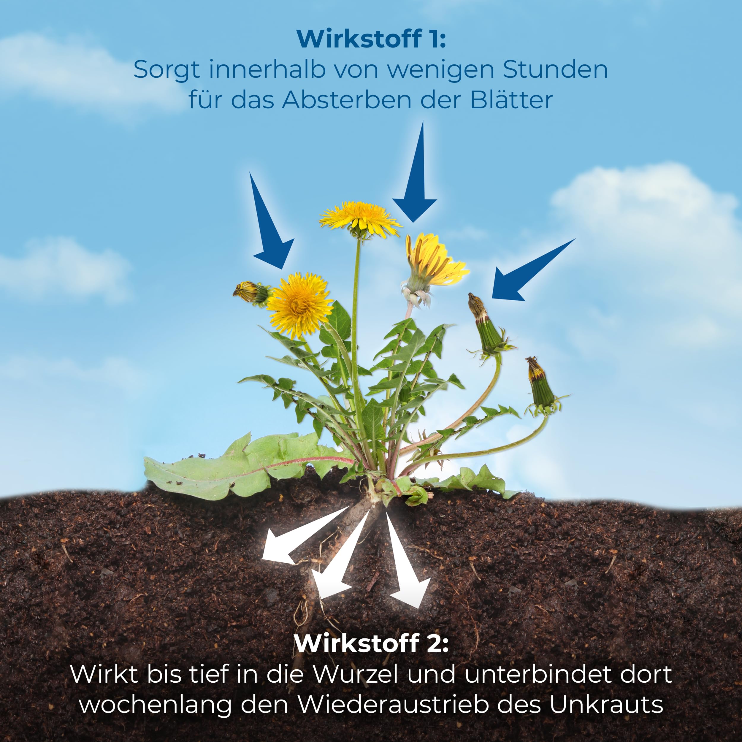 PROTECT GARDEN Permaclean Duo Unkraut & Wurzel Ex AF, anwendungsfertiger Unkrautvernichter mit Zweifachwirkung gegen Unkräuter und Ungräser, 3 Liter