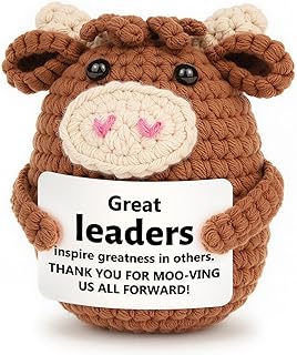 Boss Lady Gifts for Women, Boss Gifts for Women, Gift for Bosses Female Men