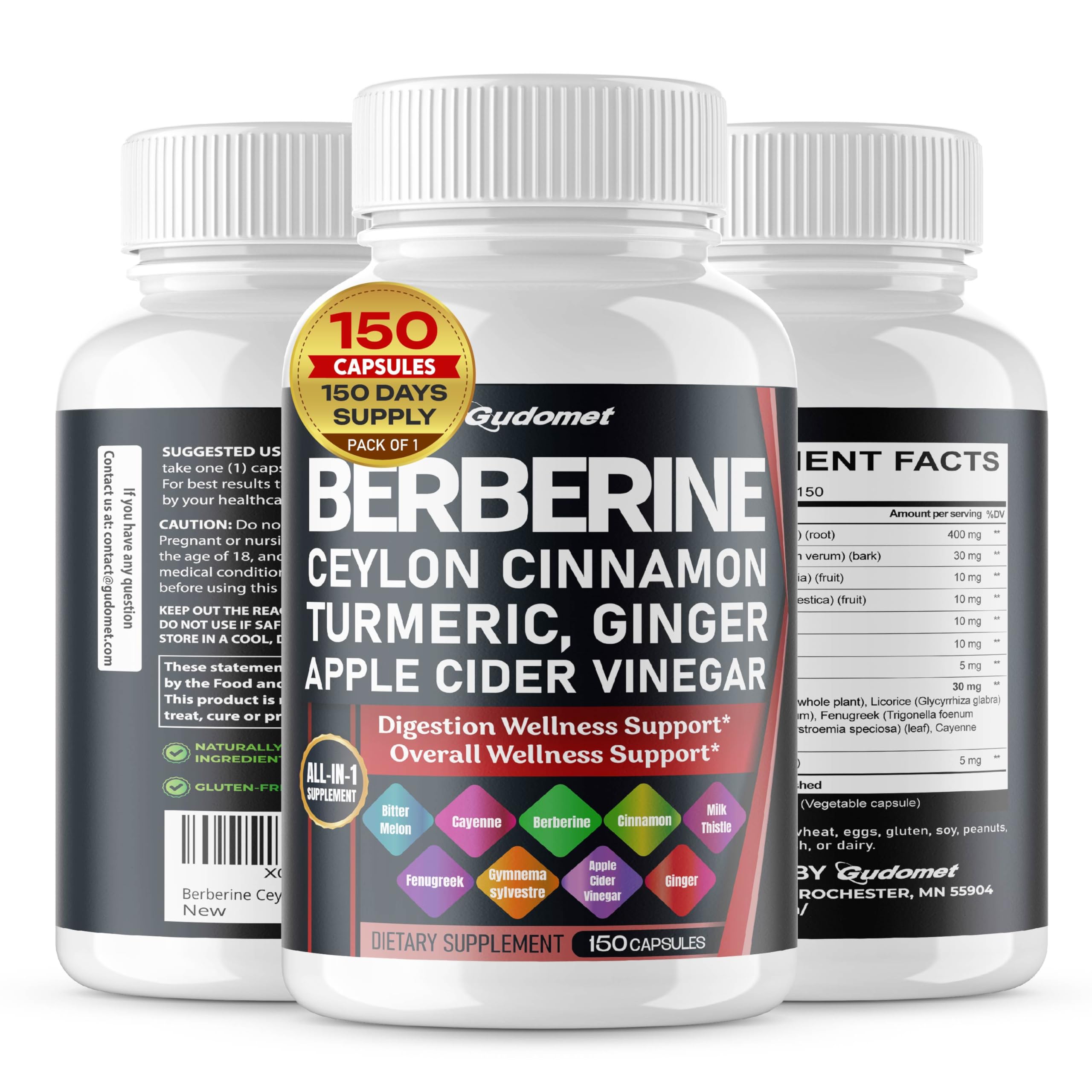 Berberine Ceylon Cinnamon - All-in-1 Supplement with Bitter Melon AVG Gymnema sylvestre Turmeric Milk Thistle Licorice Holy Basil Fenugreek Banaba