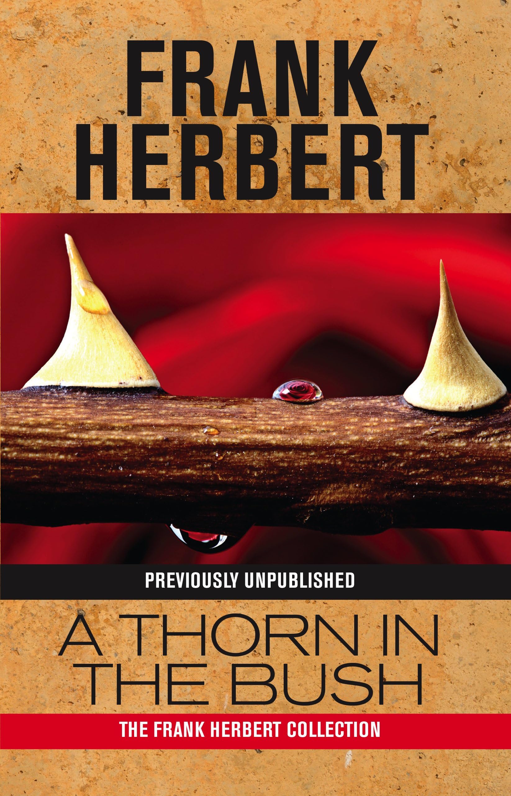 A Thorn in the Bush (English Edition)