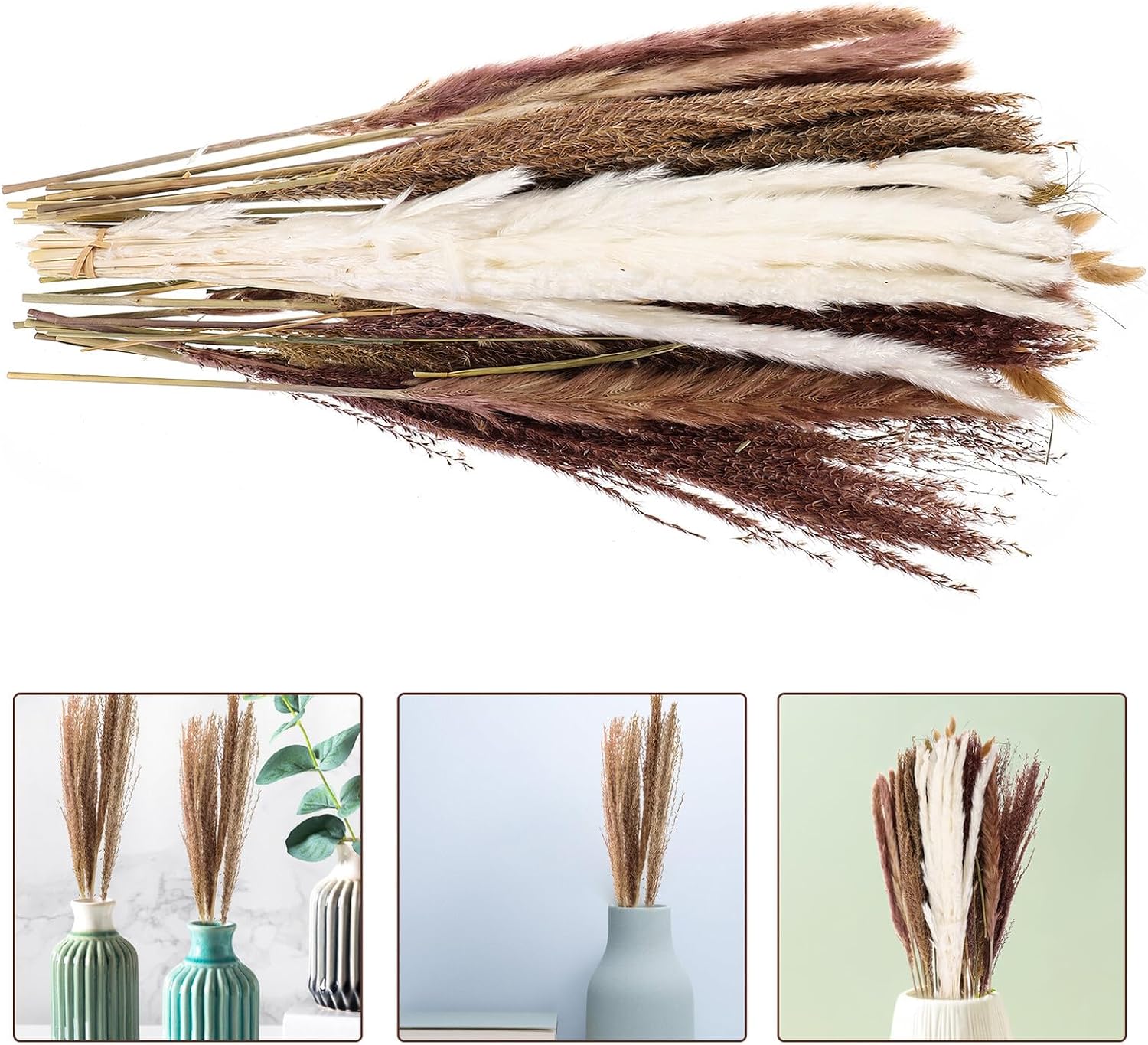Luxshiny Dried Pampas Grass Bouquet 50 Stems Decorative Reed for Vase, Household Table Decor Set Storage Box, Natural Reed Adornment for Living Room and Dining Room