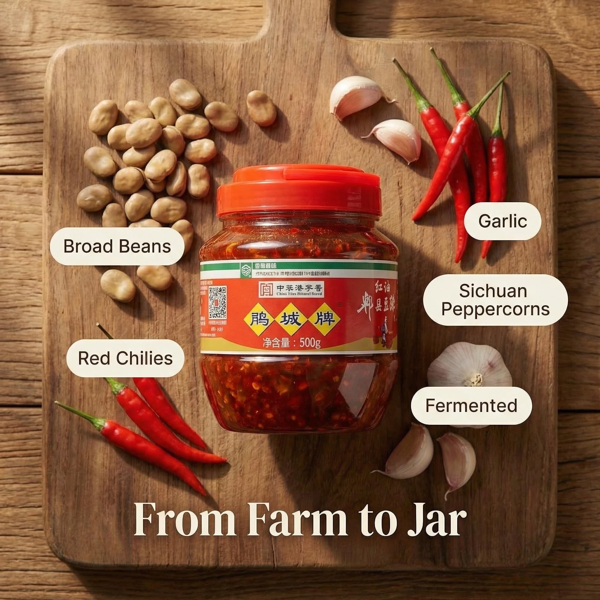 Doubanjiang 500g sticky chili bean sauce - Auténtica pasta de judías con chile rojo de Sichuan para cocinar y condimentar