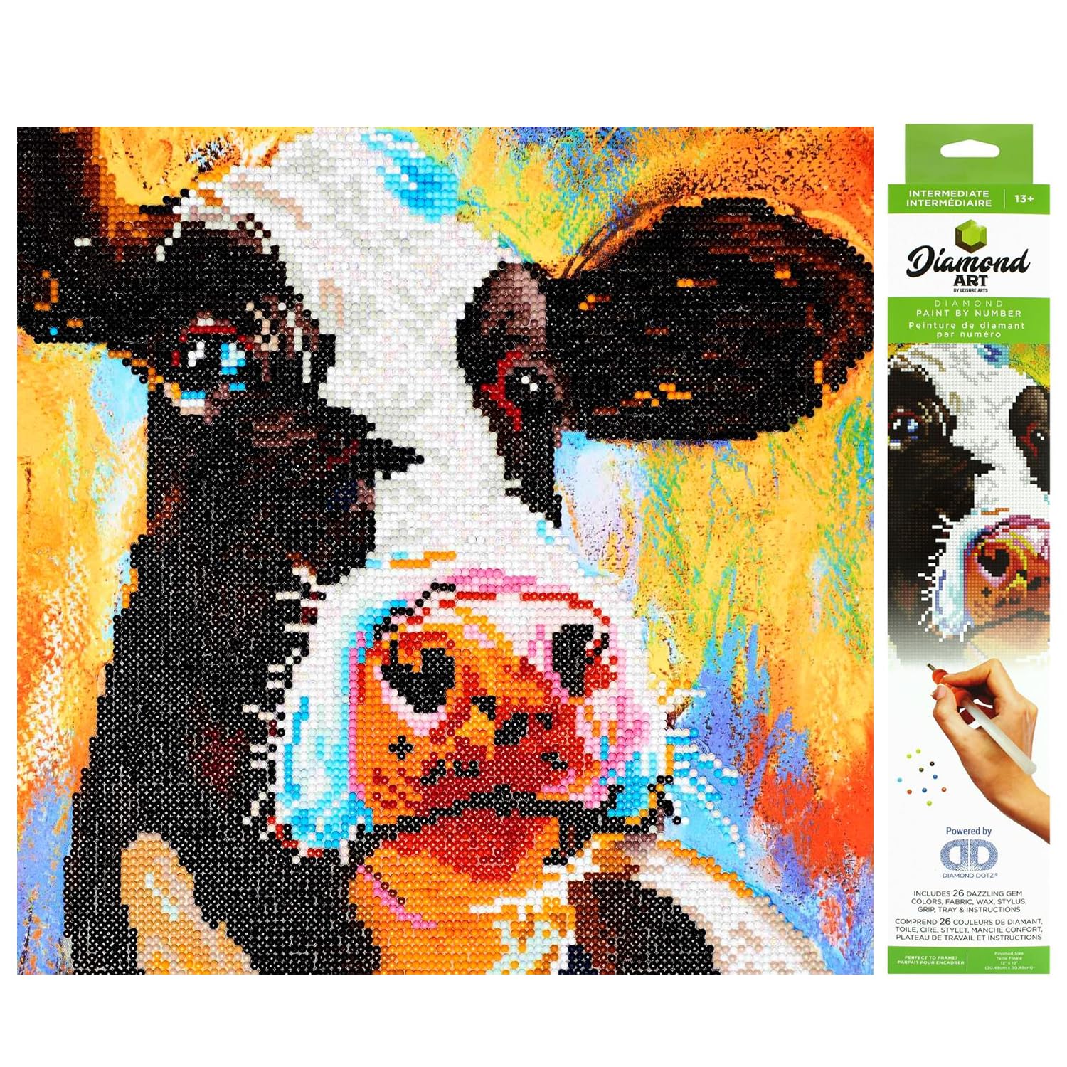 Amazon.com: Leisure Arts Paint Cow Diamond Art KIT 12
