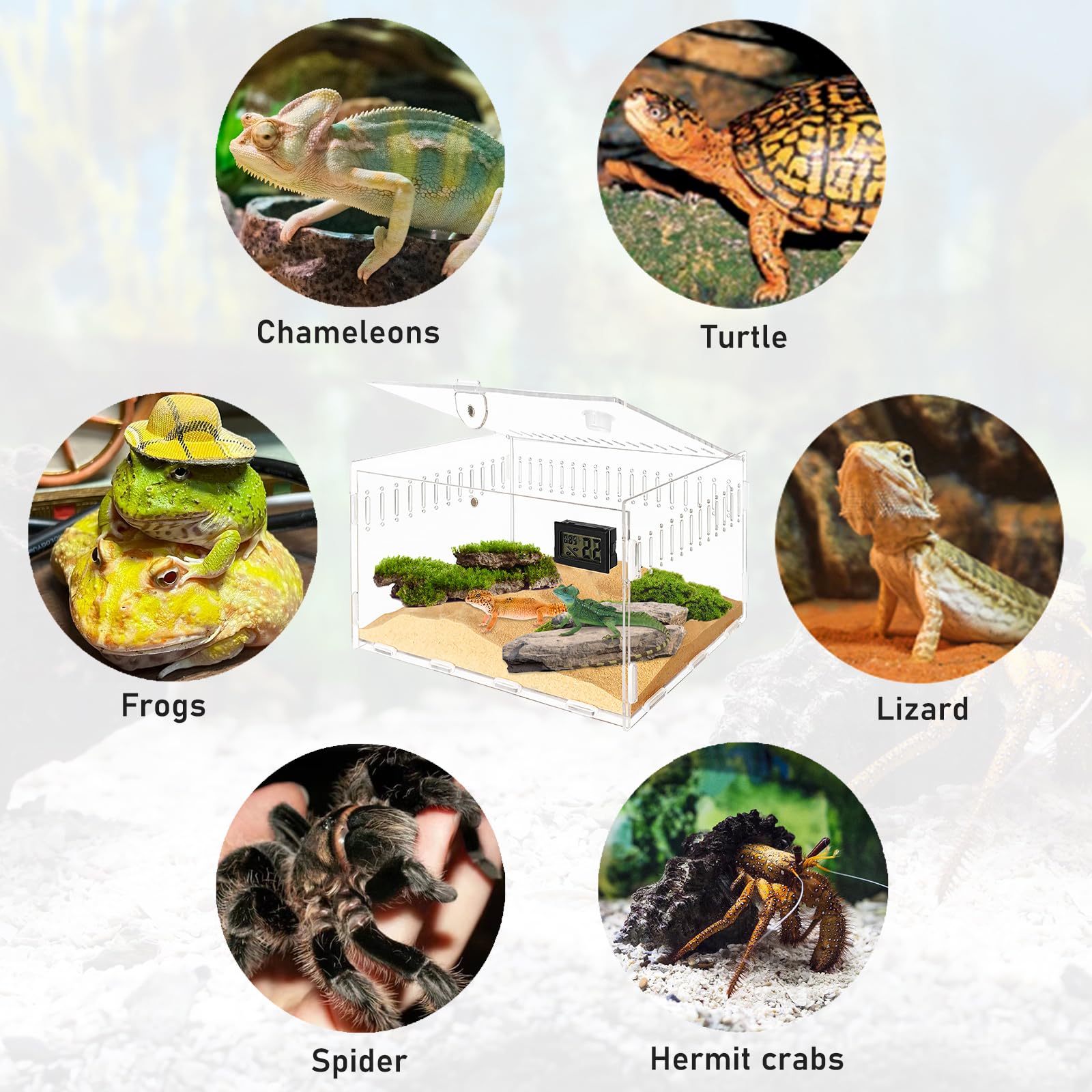 Reptilien Terrarium Box, Schnecken Terrarium, 30 * 20 * 15 Reptilien Futterbox, Reptil Fütterungsbox Transportbox Behälter, Acryl Box Aufzuchtbox Mit Hygrometer