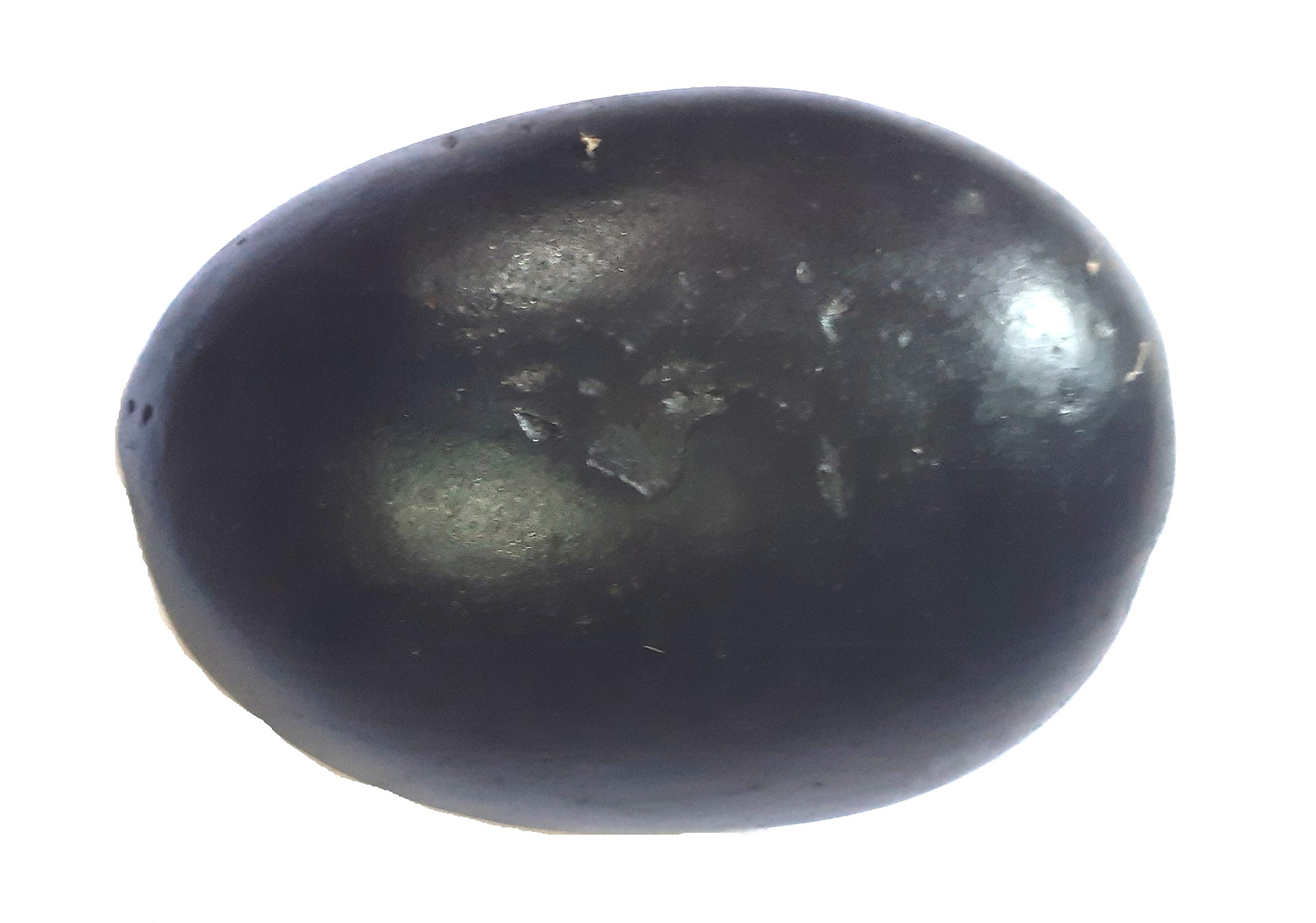 CHEZEL Big Size Laddu gopal shaligram 400 to 500 Grams (Black)