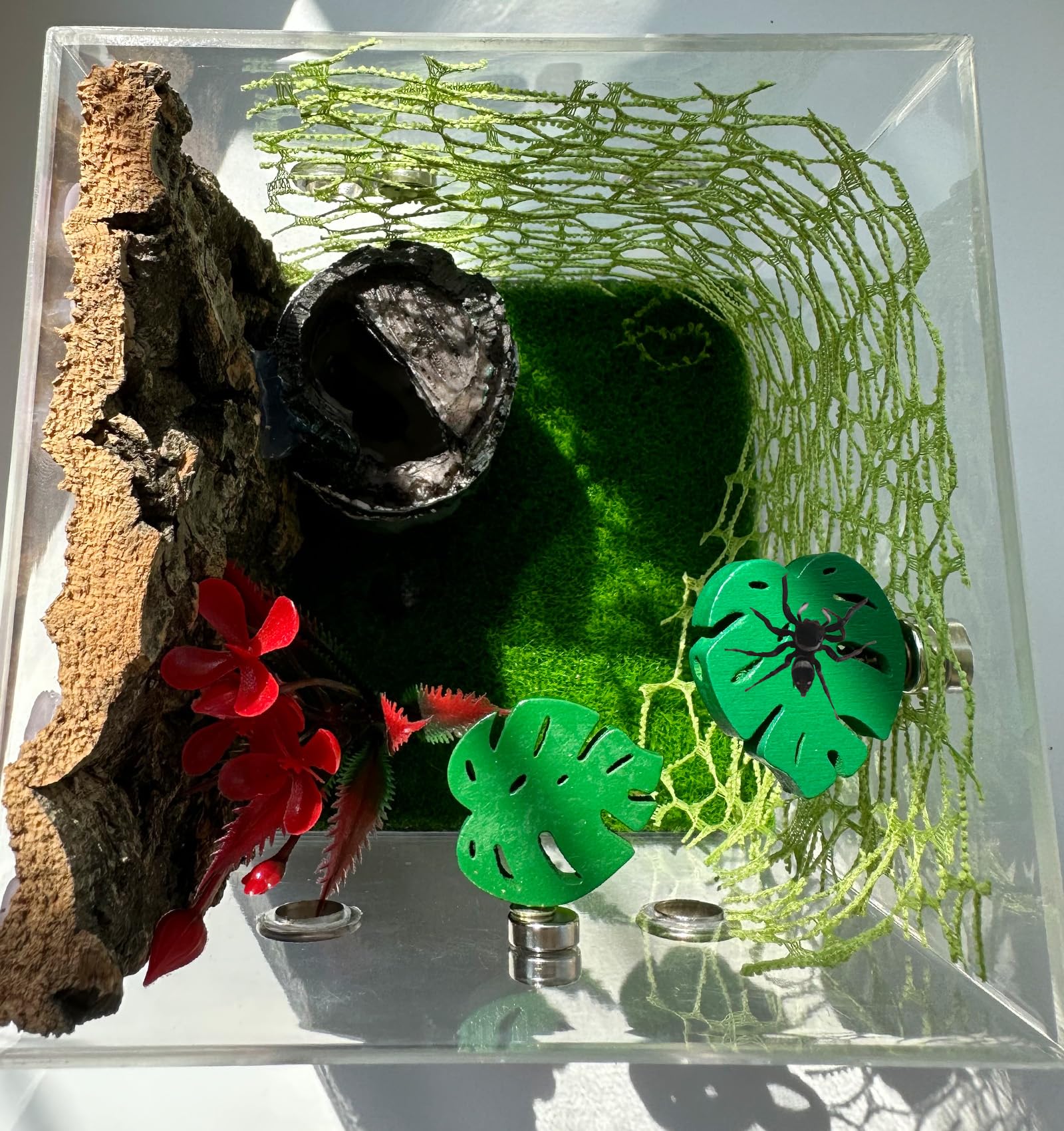 Okueejur 3 Pack Leaf-Shaped Jumping Spider Enclosure Ledges with Magnets for Spoods Jumping Spiders Decoraction Jumping Spider Accessories (Not Included The Jumping Spider Terrarium) - Image 4