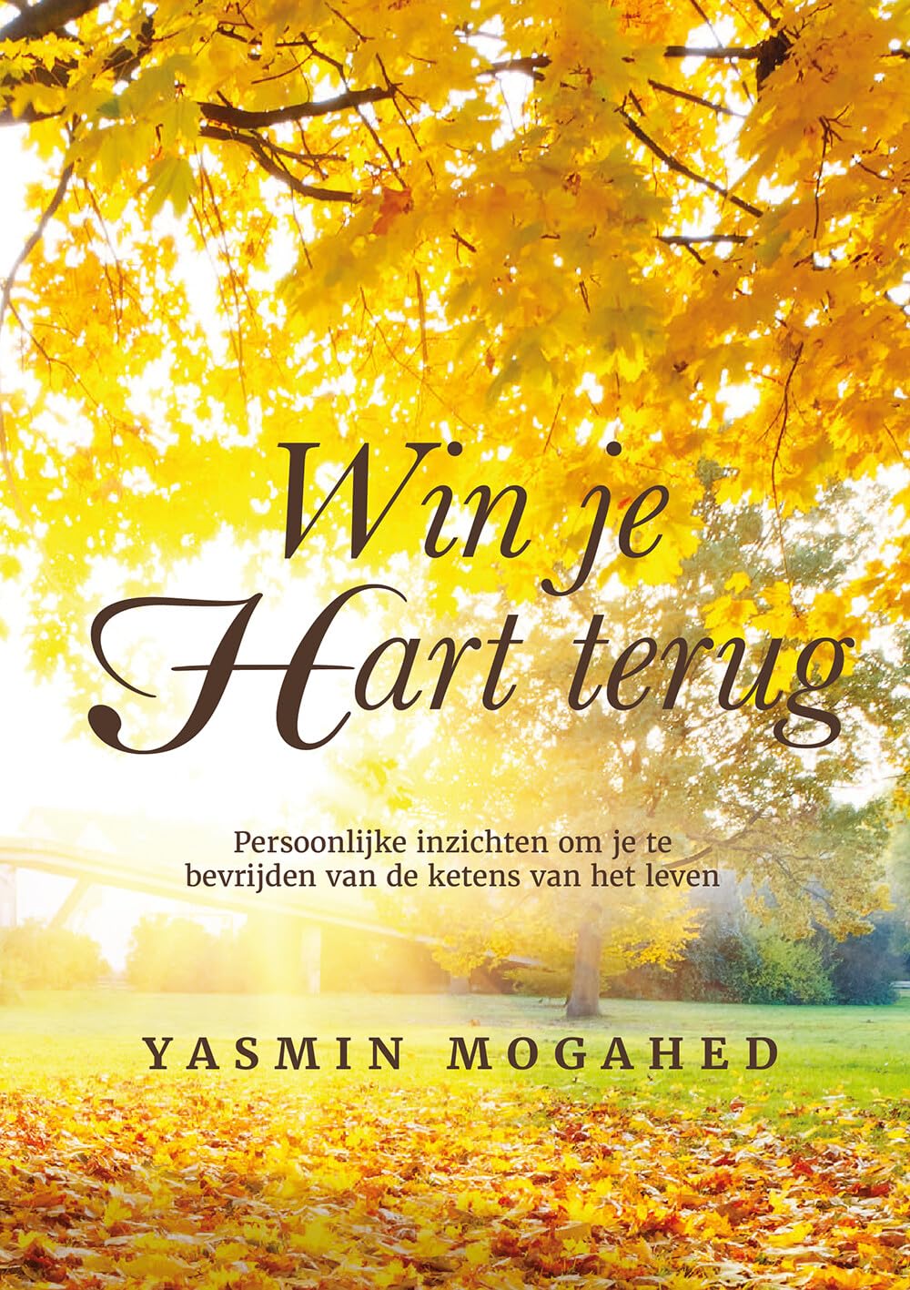 Win je hart terug: persoonlijke inzichten om je te bevrijden van de ketens van het leven