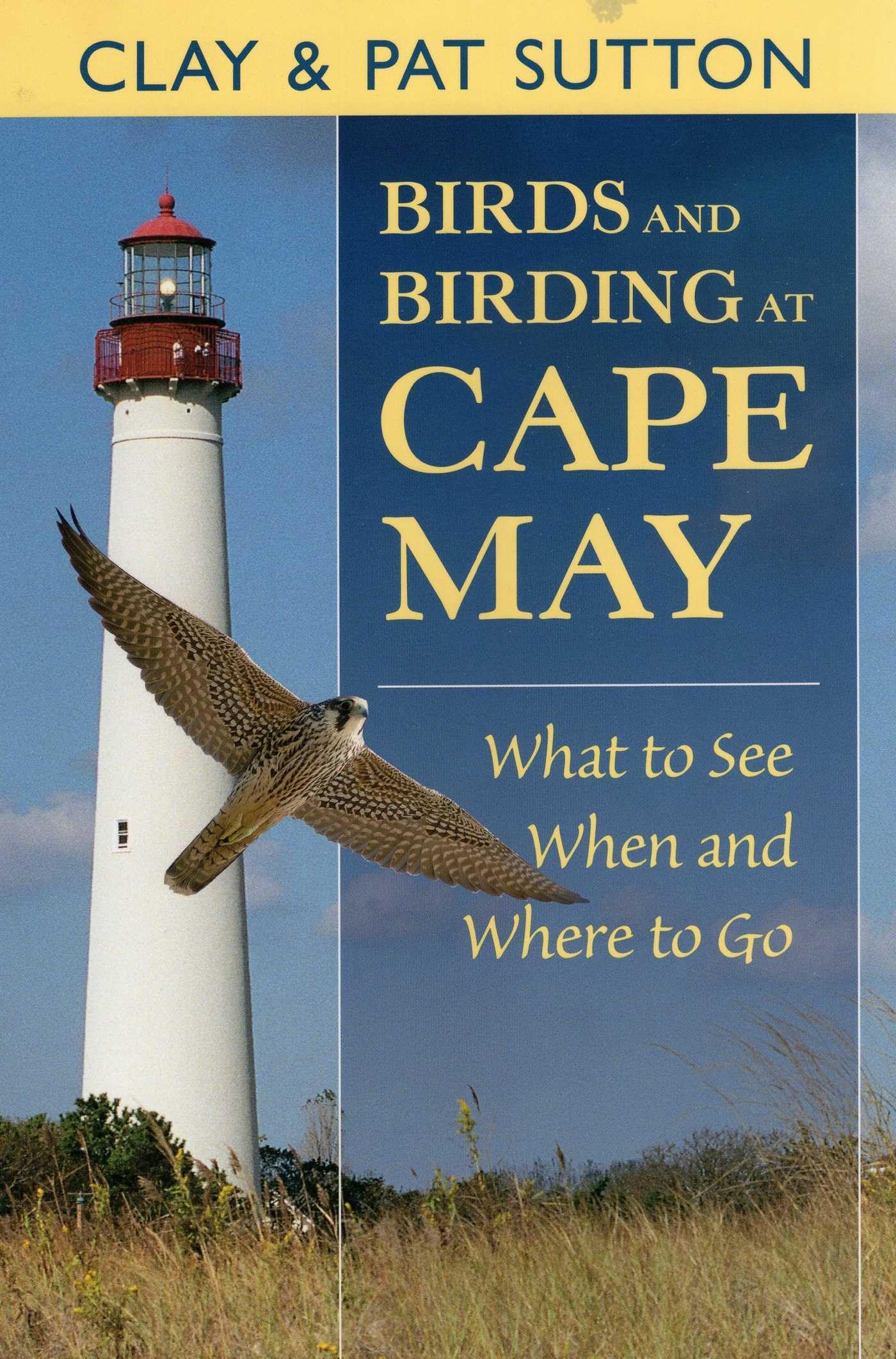 Birds and Birding at Cape May: What to See, When and Where to Go