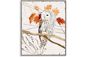 Stupell Industries Owl in Fall Forest Animal Watercolor Painting Grey Framed Wall Art, 11x14"