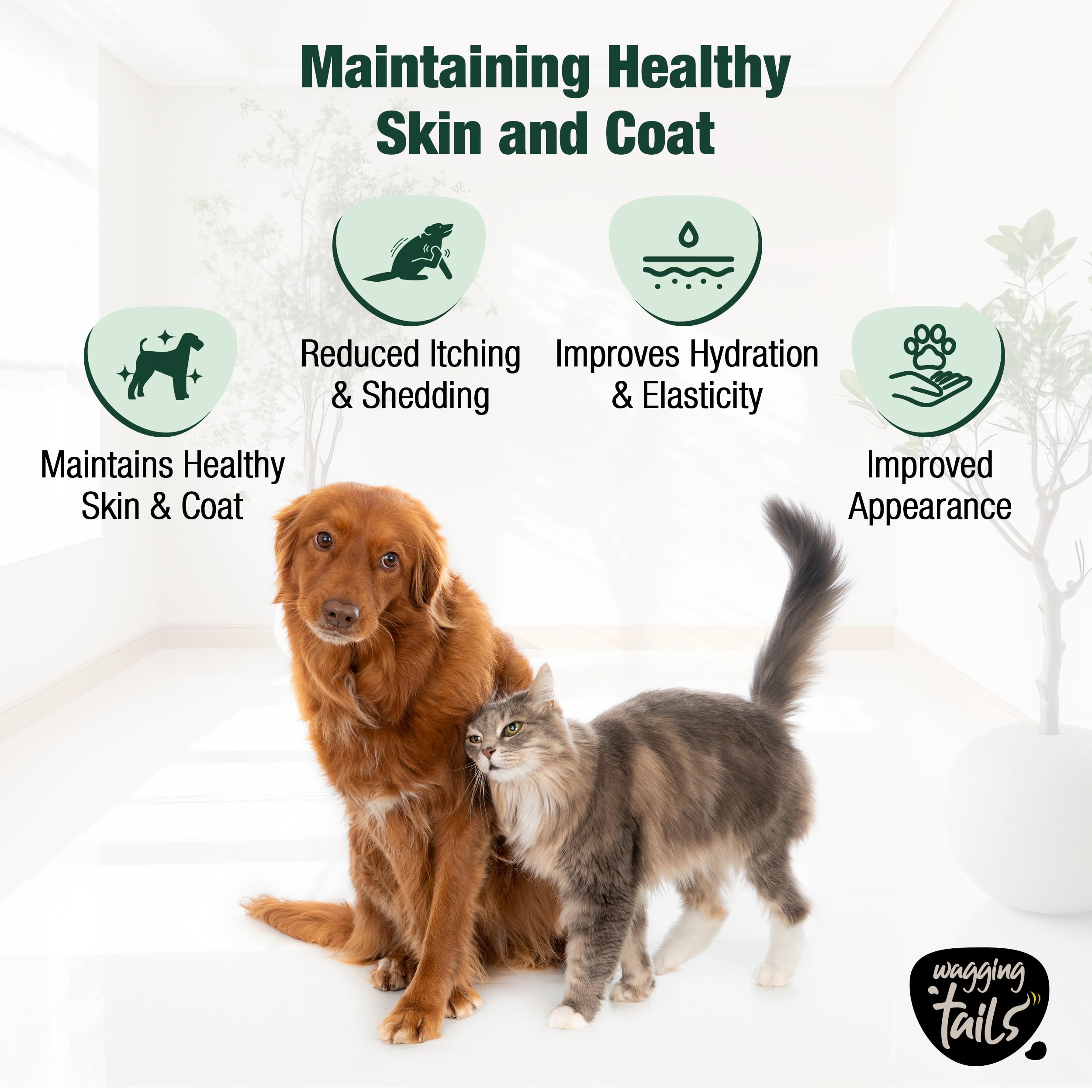 Wagging Tails Skin & Coat Collagen for Dogs & Cats |Marine Collagen with Omega 3, 6 & 9, Biotin|Reduces Shedding & Itching|Shiny Fur & Healthy Skin|200g Powder 4