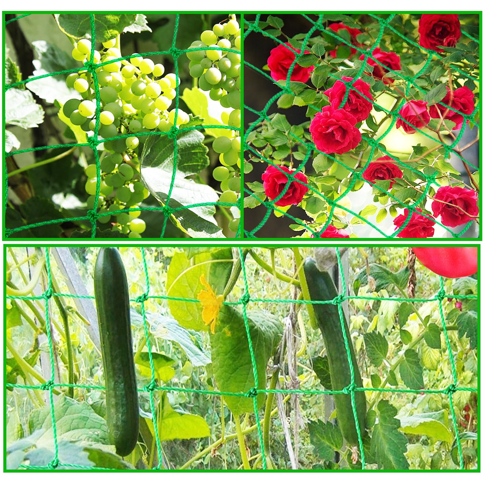 Rete Per Piante Rampicanti 2,5x2 M - Maglia Larga In Polietilene Con 50 Legacci - Supporto Per Cetrioli, Pomodori, Uva, Piselli E Fiori Rampicanti - 4