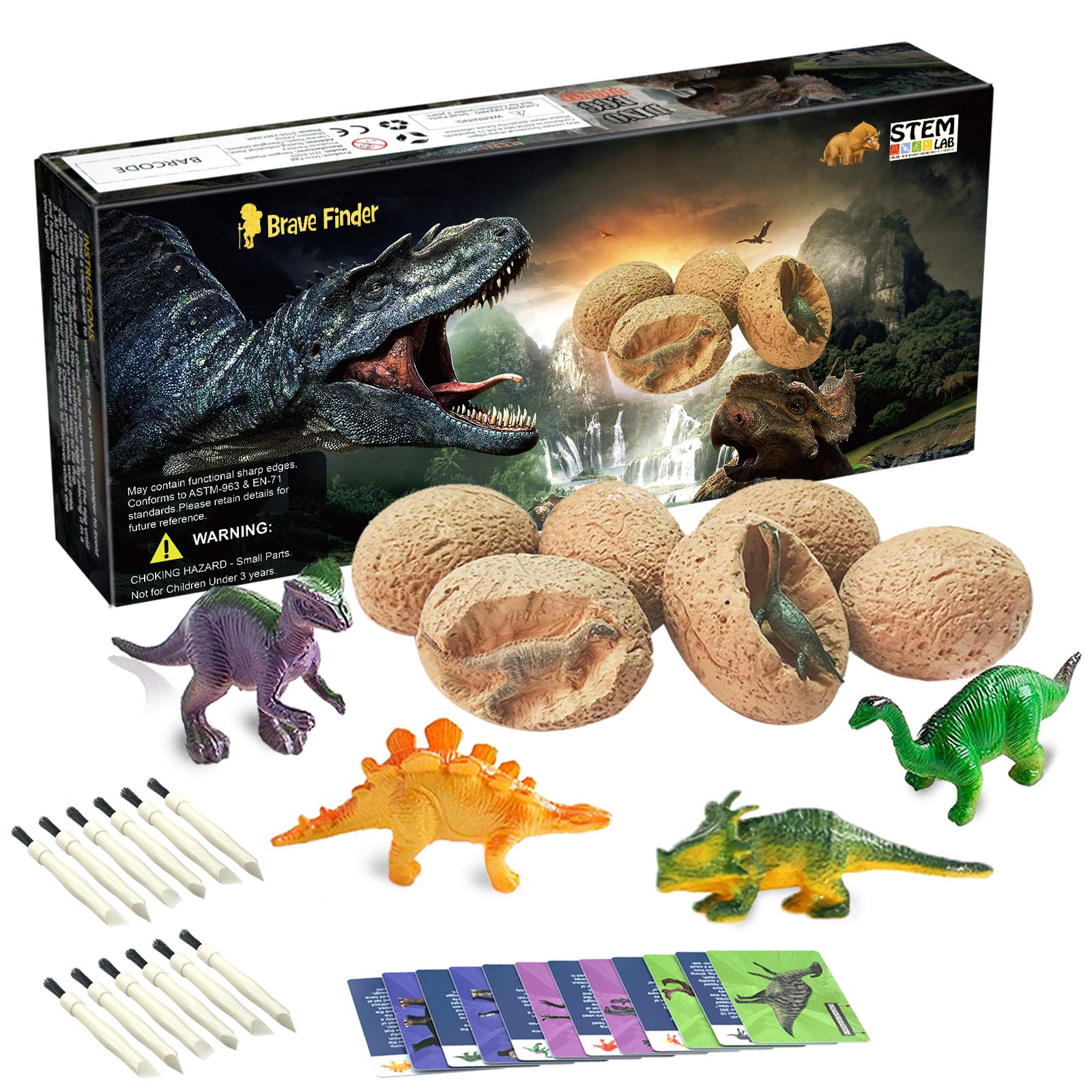 Dinosaur Box Science Educational Science Toys Dinosaur Eggs Excavation Kit - Break Open 12 ...