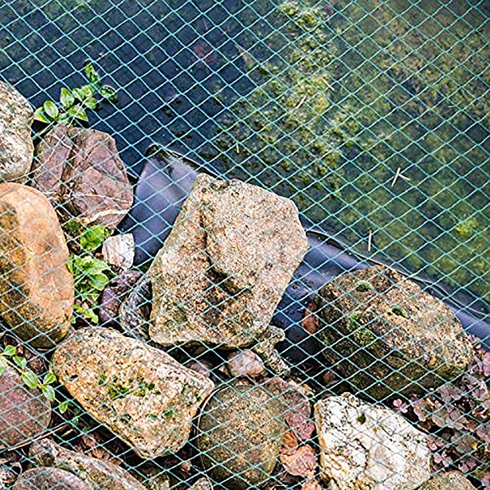 Garten Vogelnetz AntiBird Mesh Schutz für Obstbäume 6x10m Pflanzennetz Gartennetz Effektive Wildtiere Ber für Pflanzen