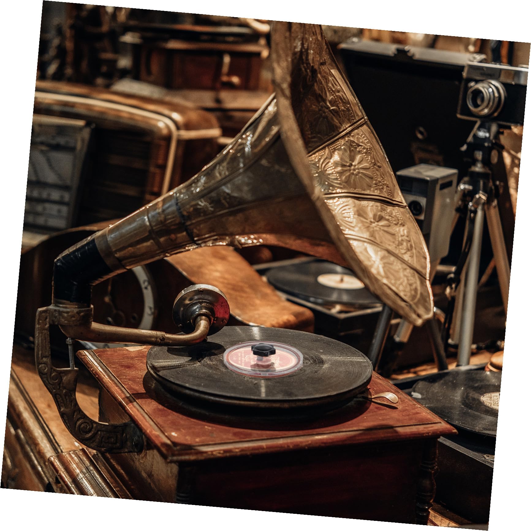 jojofuny 1pezzi Acrylic Record Label Saver Protezione Per Pulizia Dischi Vinile Con Manico Ergonomico e Design Compatto