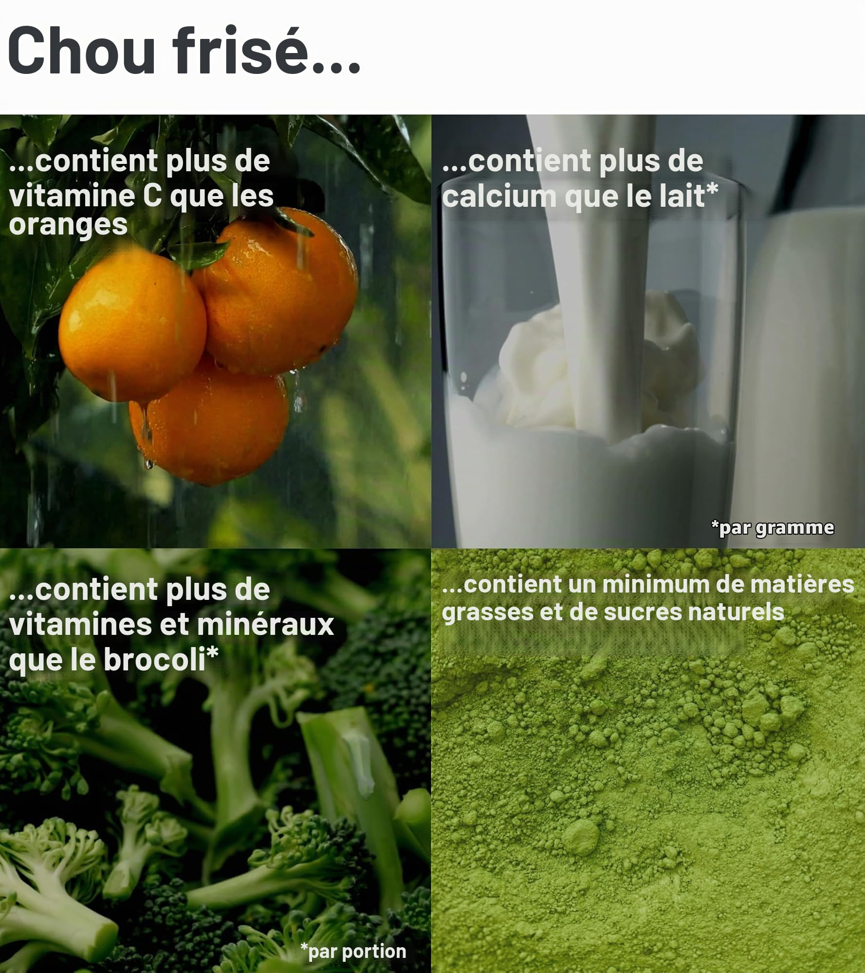 Pure Superfood Bioactive Kale Powder - 100% de Chou Frisé Lyophilisé, Haute Teneur en Protéines, Kalzium, Vitamine C et K. Riche en Antioxydants, 9 Acides Aminés Essentiels, 25 x 2g