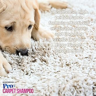 Pro-Kleen Pro+ Carpet Shampoo and Upholstery Cleaning Solution – 4 in 1 Concentrate – Pet Carpet Cleaner with Odour Removal Suitable for all Machines 5L (Spring Bloom)